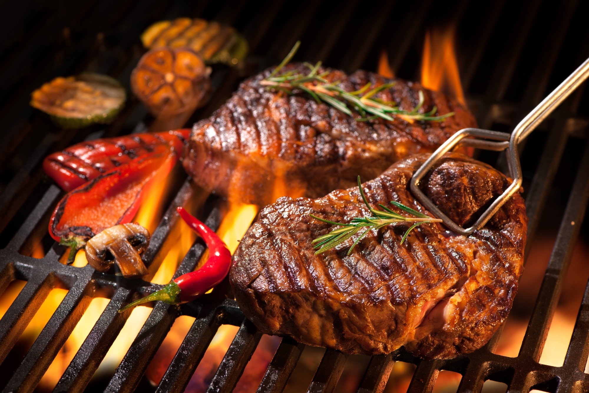 Best Outdoor Grills
