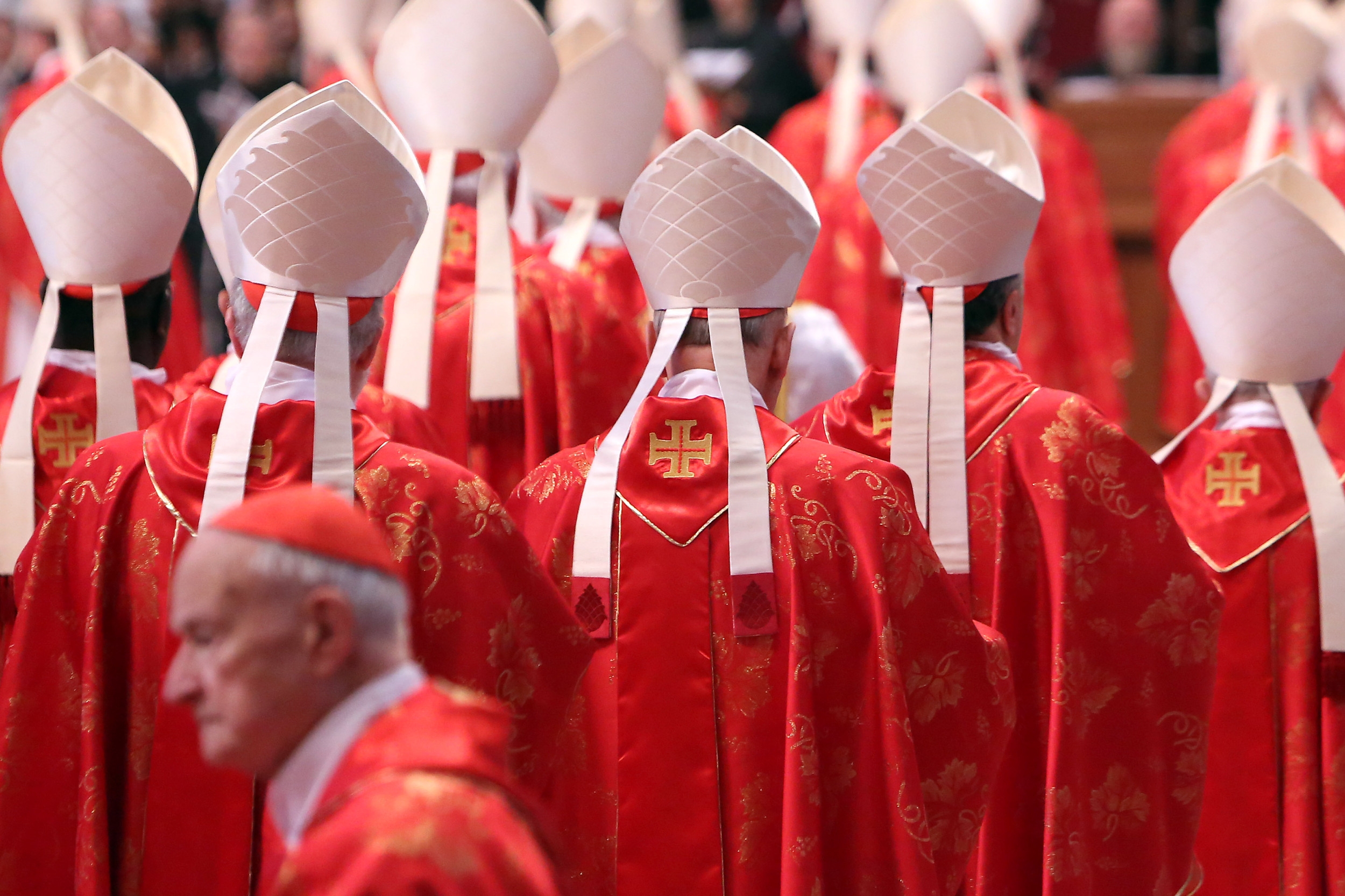 Who Picks the Next Pope? The 135 Cardinals Who Make Up Papal Conclave