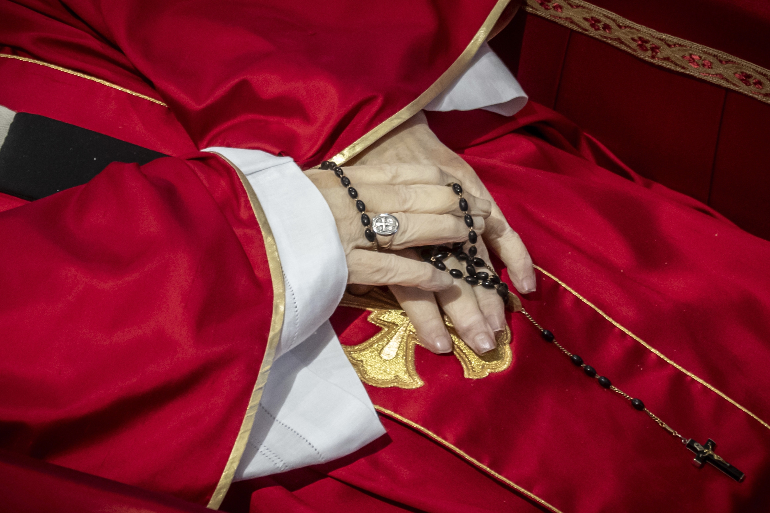 Selfies With Pope Francis' Body Spark Fury: 'So Many People'