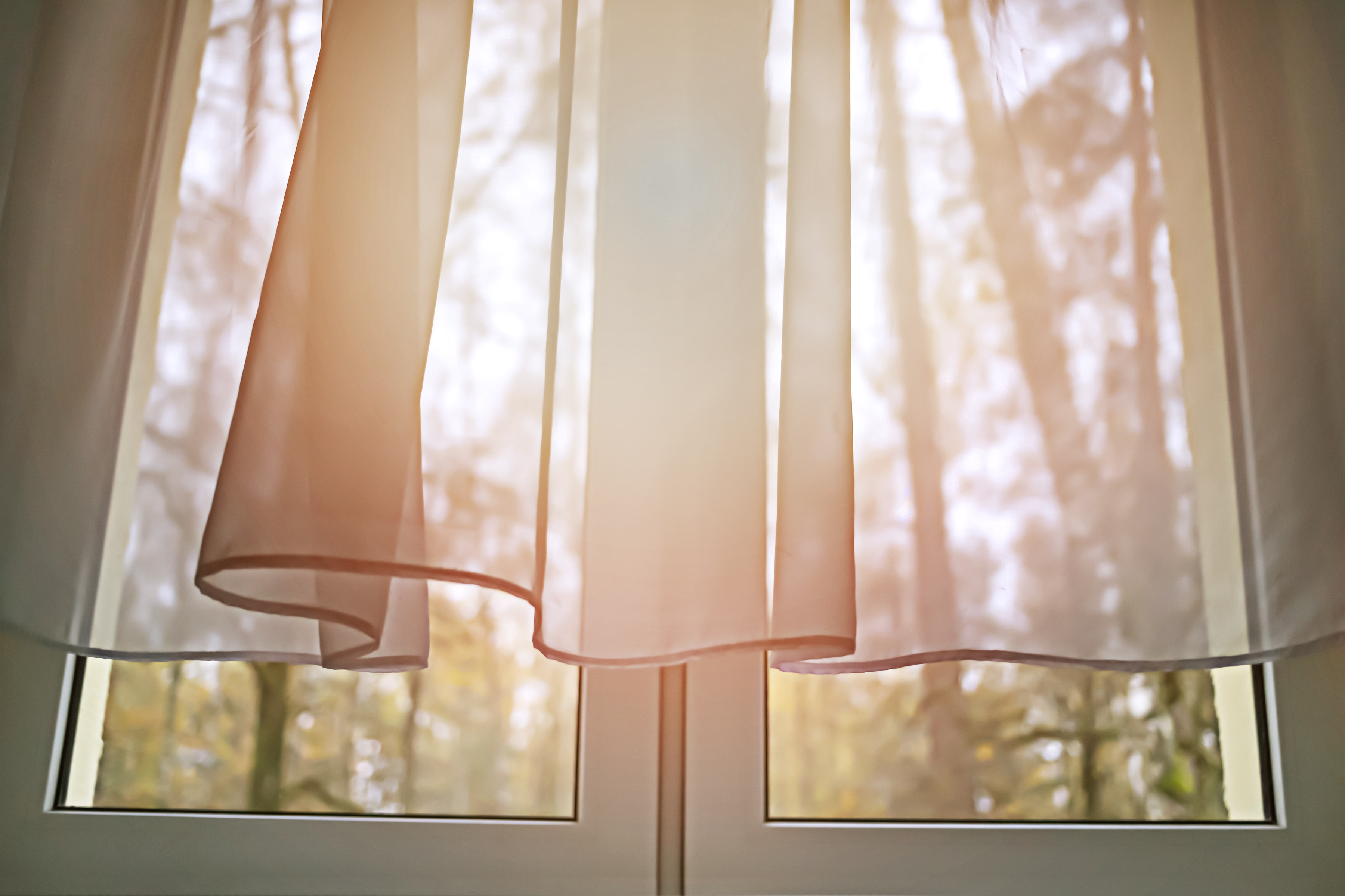 Reason Woman's Curtain Is So Short Melts Hearts