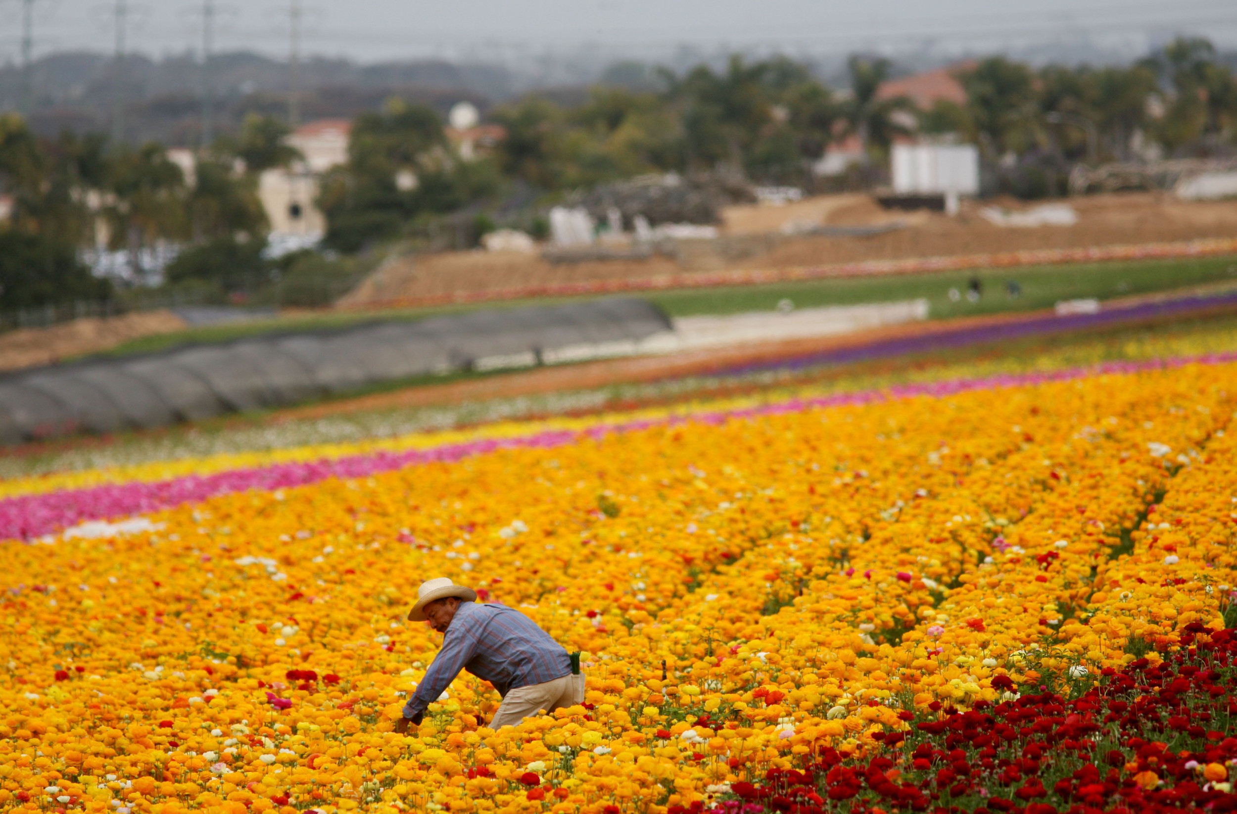Trump's Mass Deportations Are Pushing US Farms to Breaking Point