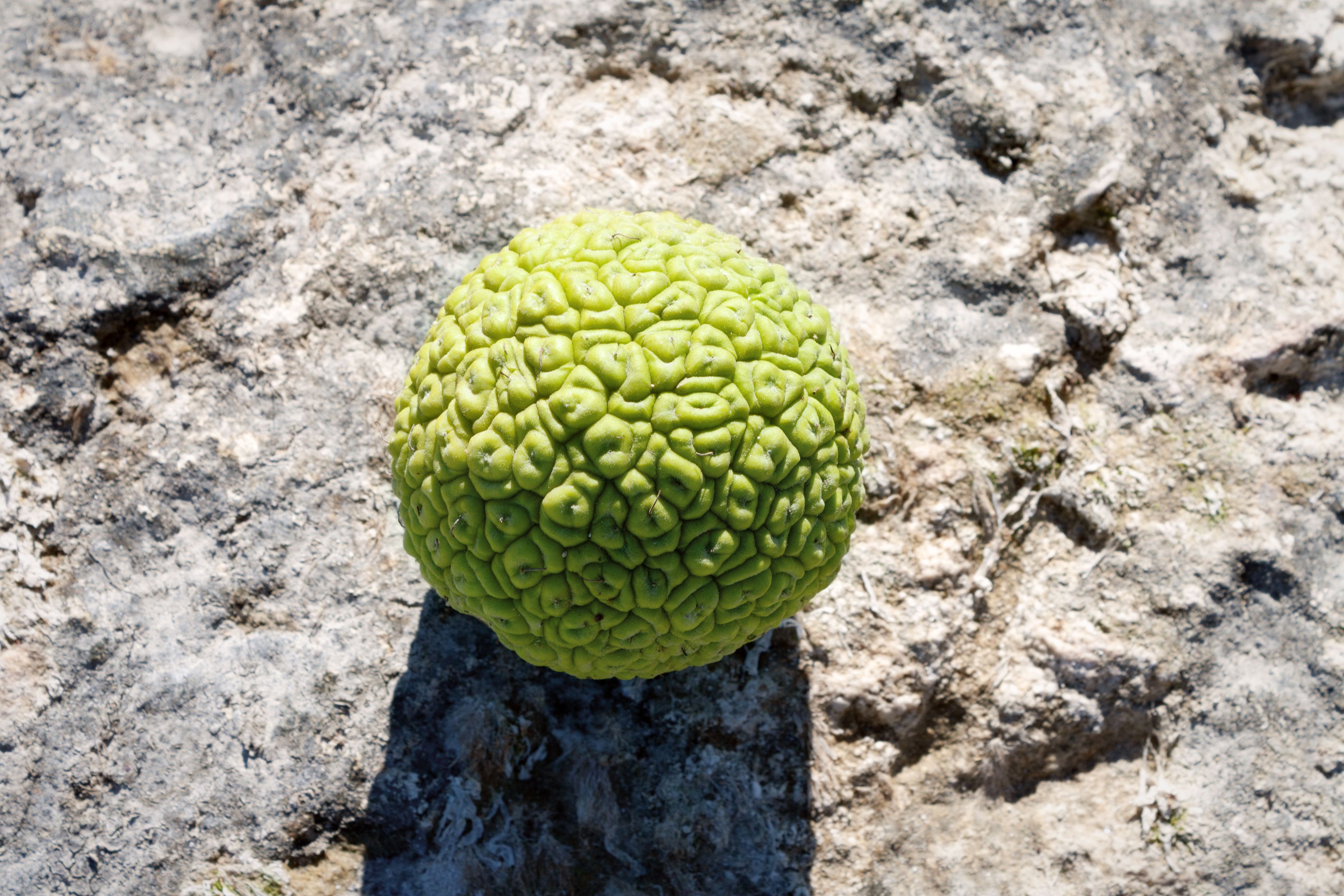 Hiker Goes on Trail, Unprepared for What They Find During Walk: 'Scared'