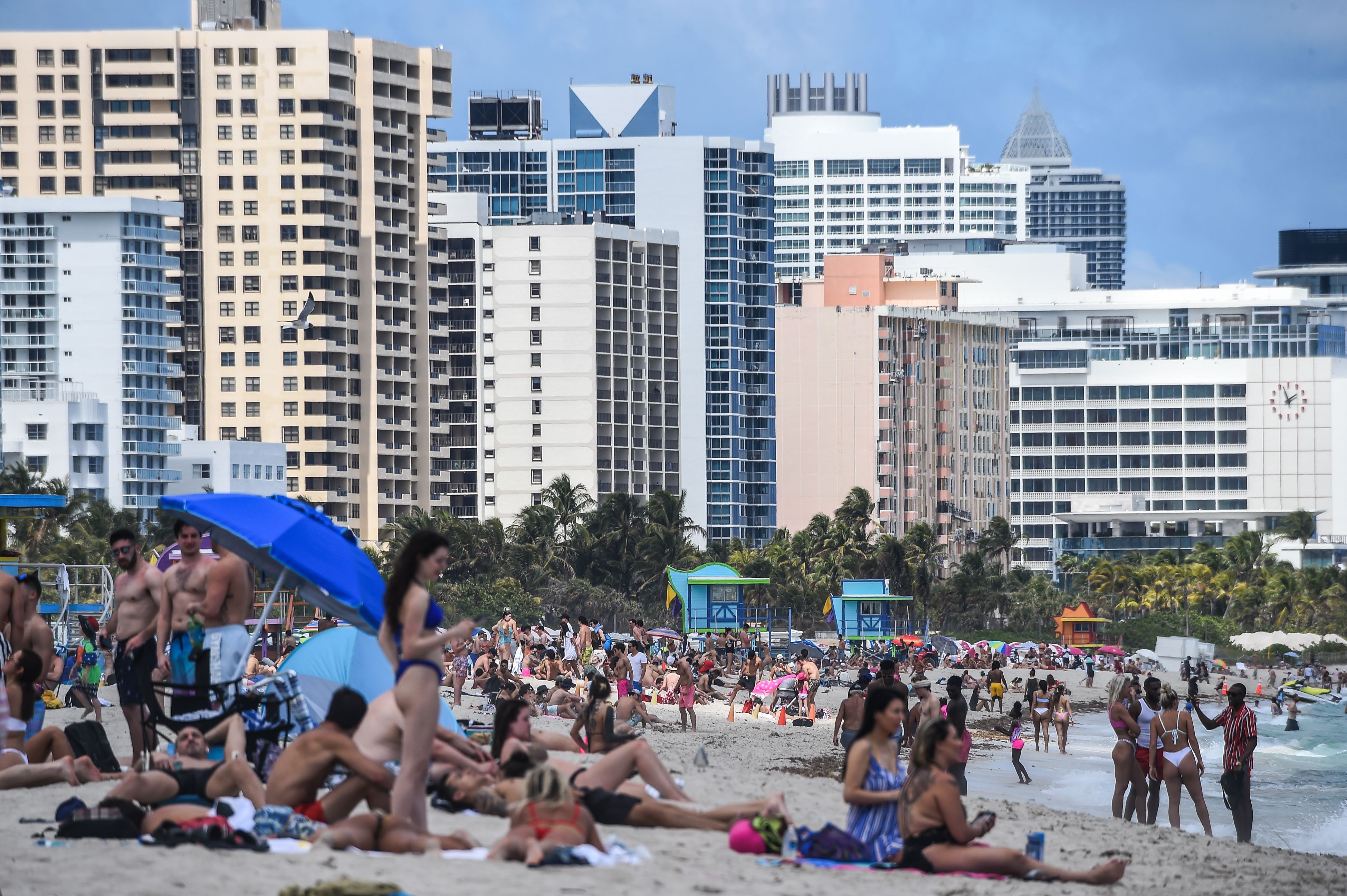 Florida Tourism Change Sparks Warning: 'Sounding the Alarm'