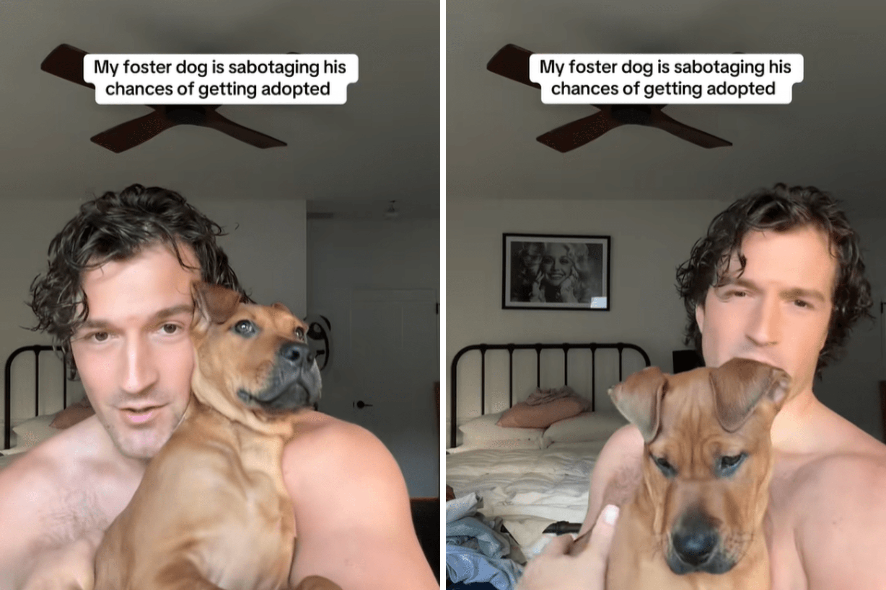 Puppy in Foster Home Minutes Away From Adoption—Then It Takes a Turn