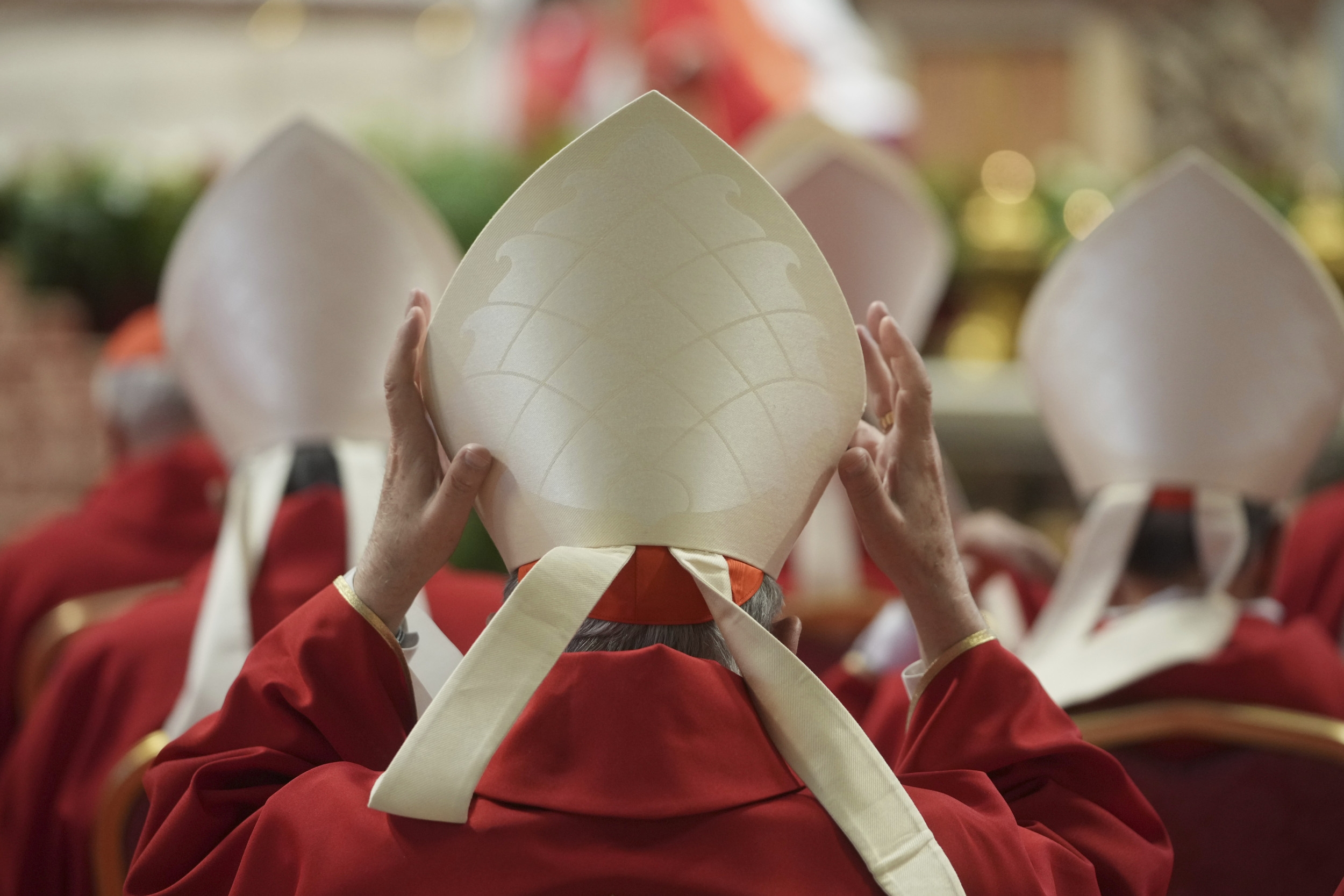 Cardinal Calls On Next Pope To Stand Up to 'Gay Lobby'