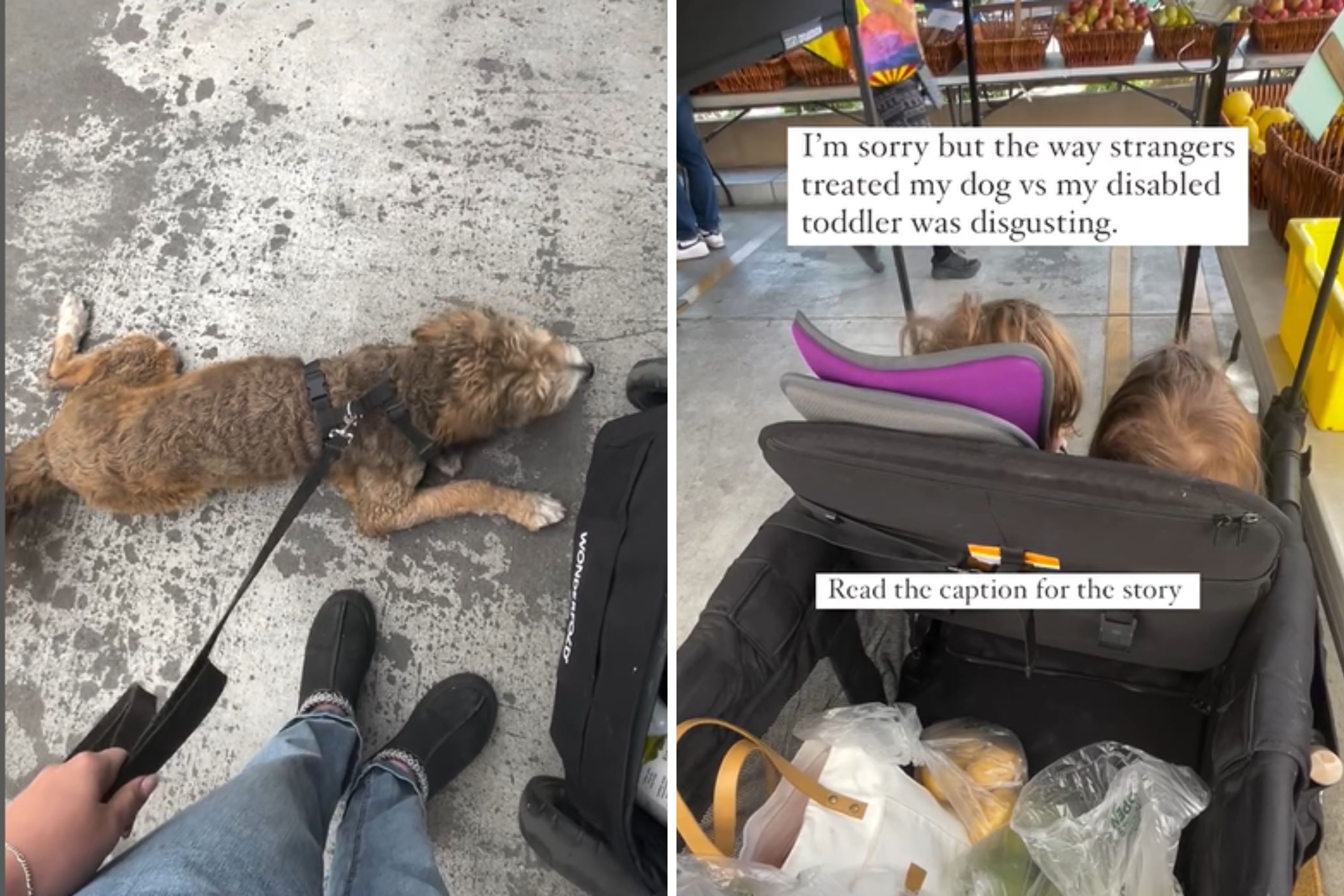Mom Compares How People Treat Her Dog vs. Disabled Child: 'Disgusting'