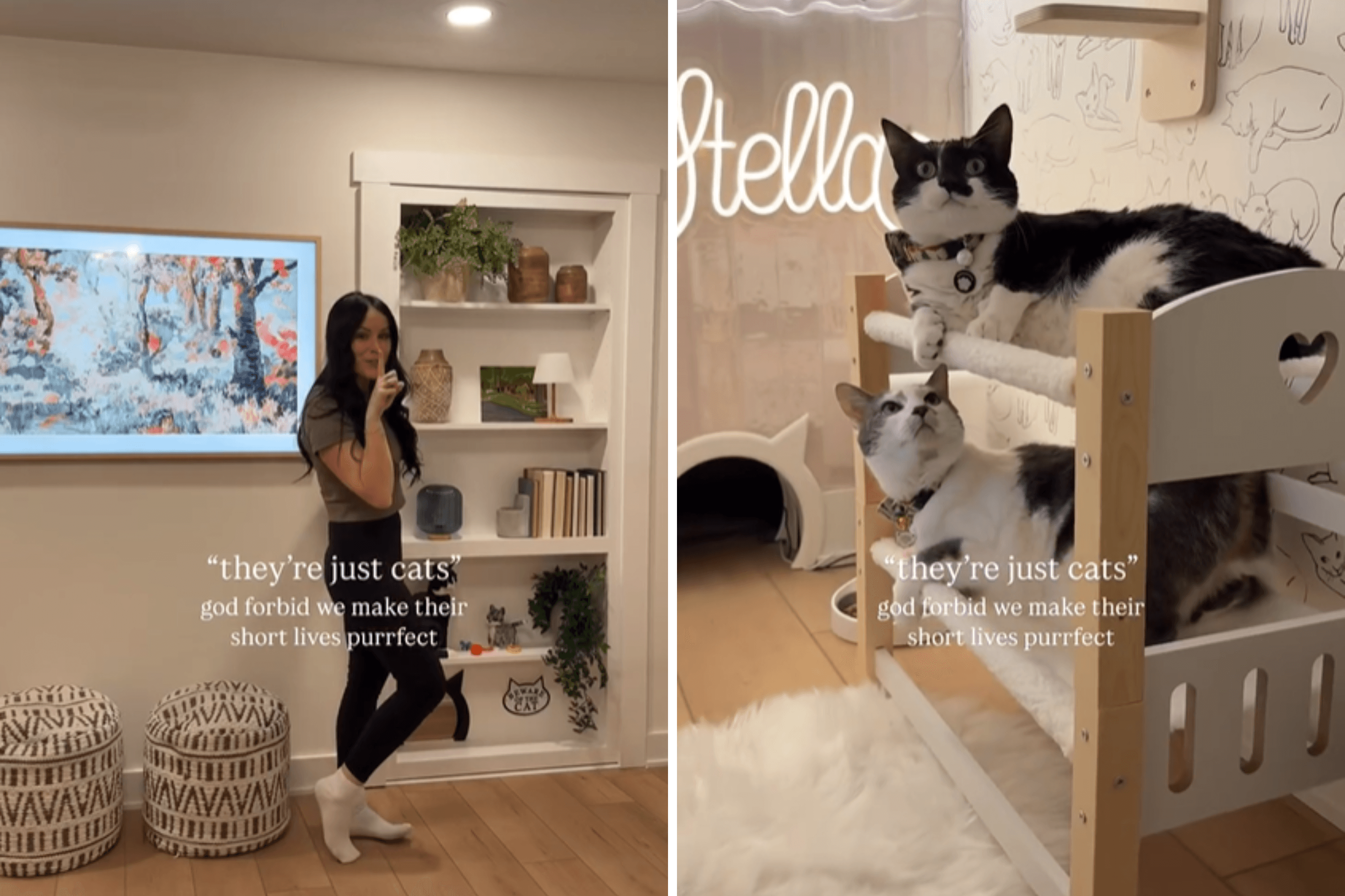 Awe As Newlyweds Build Their Cats 'Hidden Bedroom' Inside House: 'Goals'