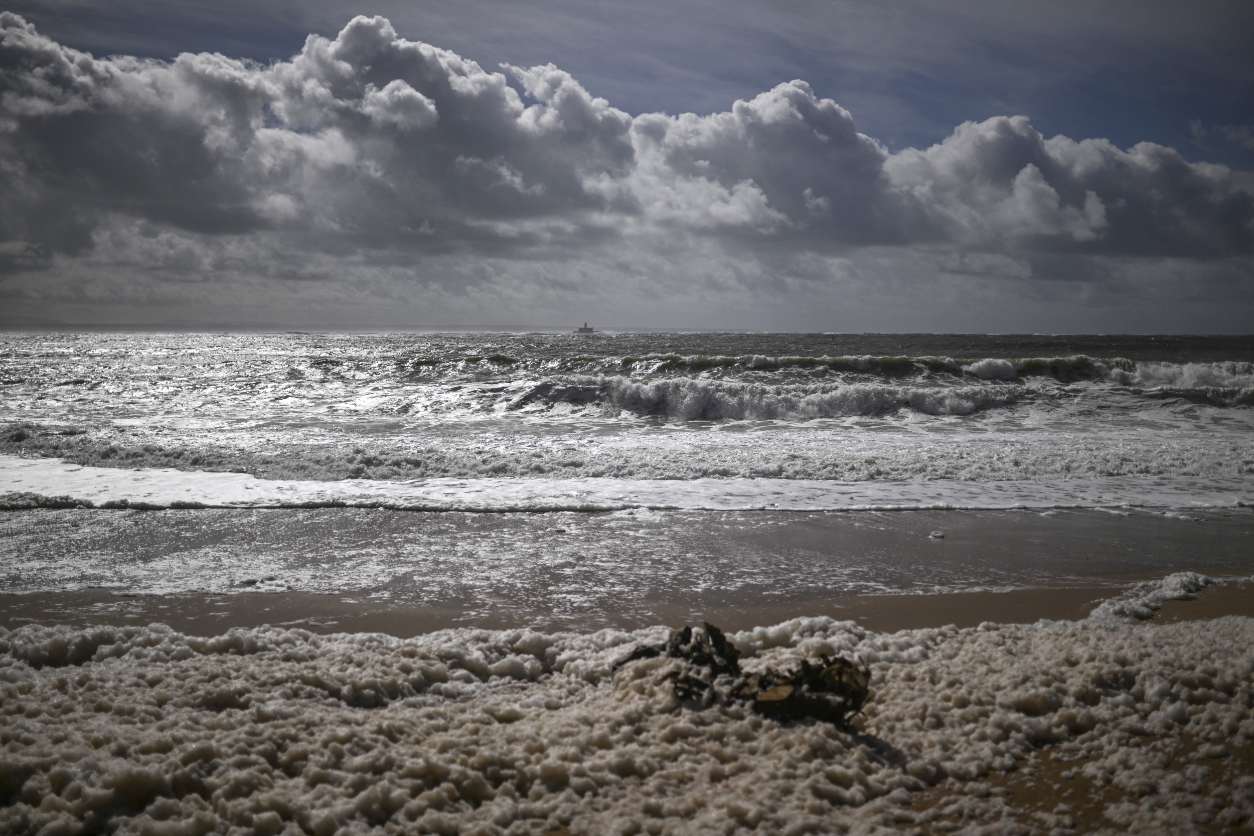 We Are the Oceans
