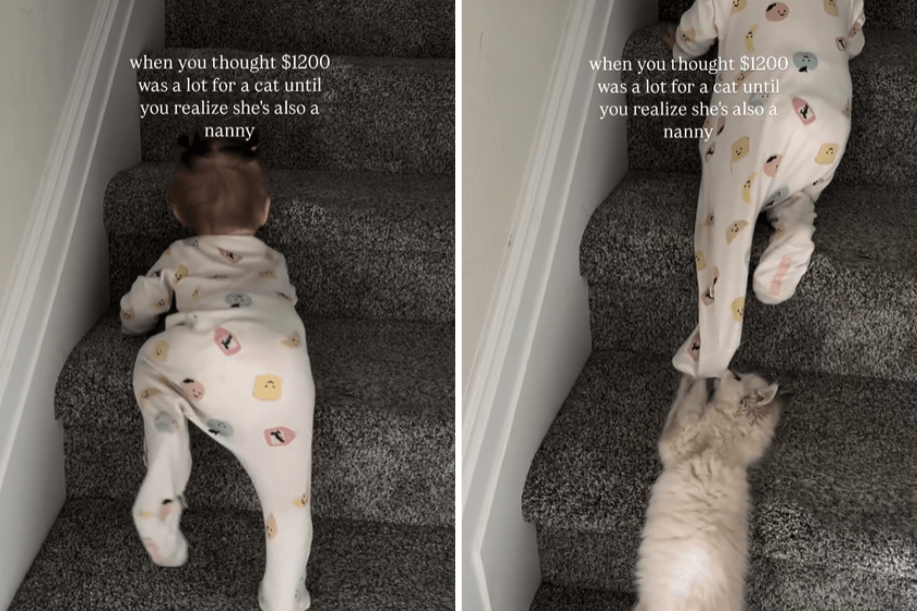 Baby Tries To Climb Stairs, New Kitten Knows What To Do: 'Nanny Position'