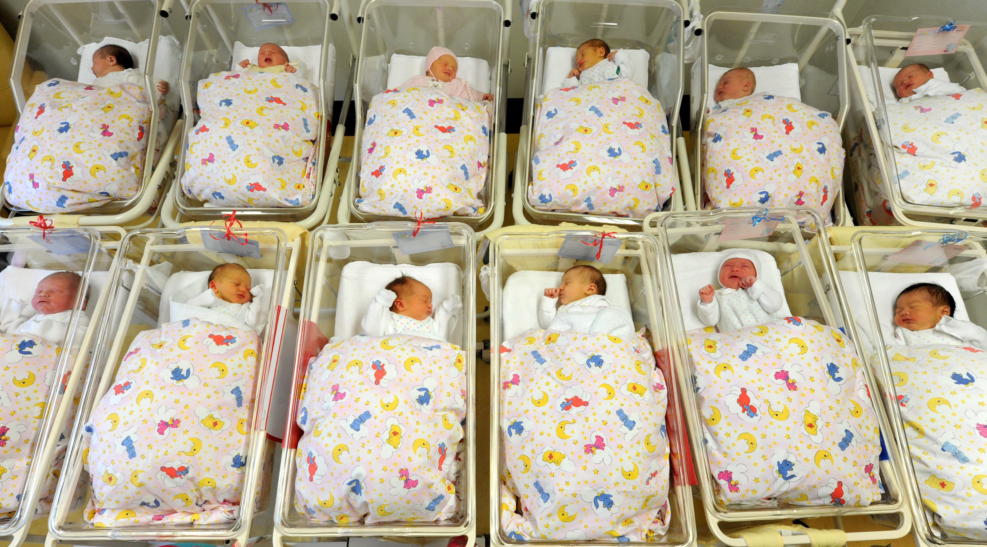 China's Plan to Boost Birth Rates Is Paying Off—in New Zealand