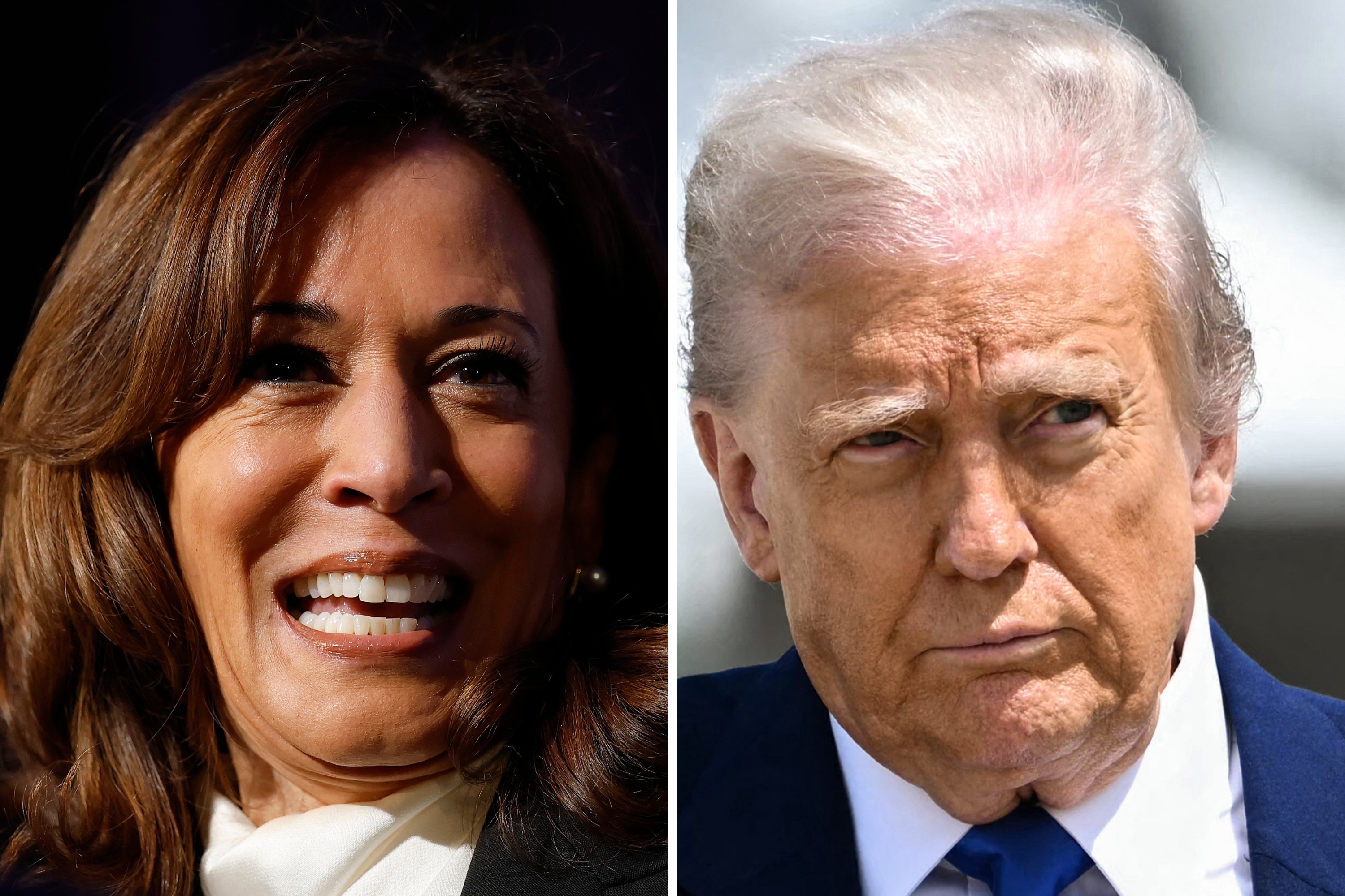 Kamala Harris Would Beat Donald Trump if Election Held Again: Poll