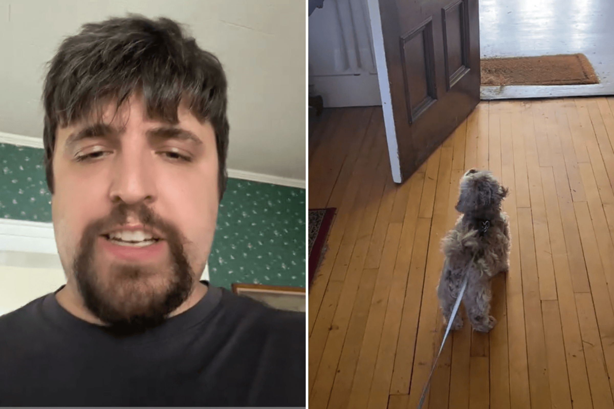 Owner Trims 'Clumsy' Dog's Hair to Help Vision—Then He Realizes the Problem