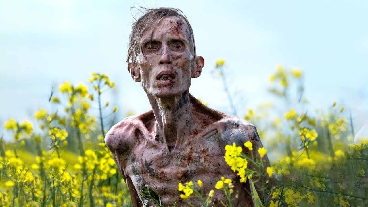 Best Films to Watch in June 2025