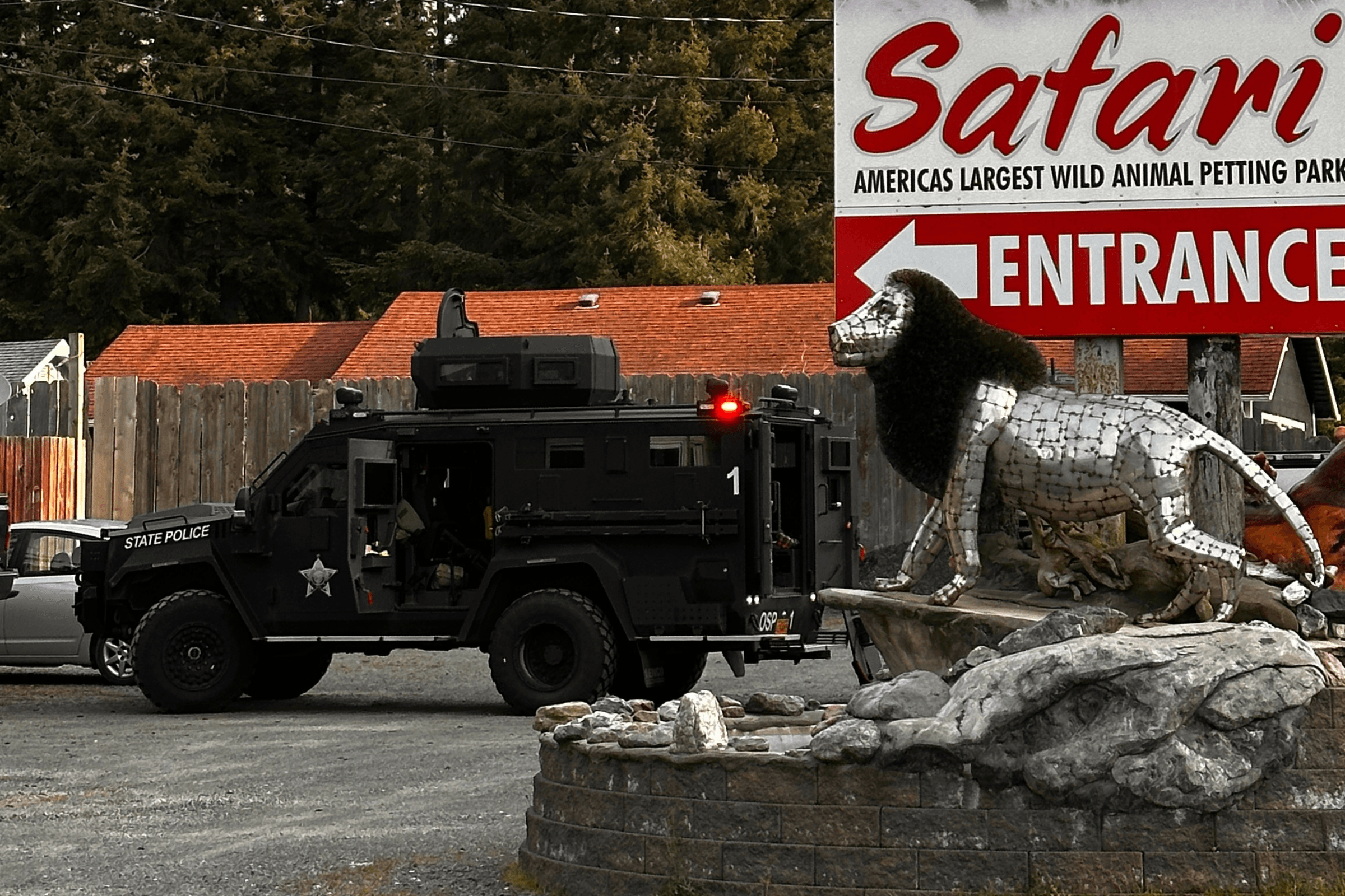 Over 300 Animals Removed From US Safari After Decade of Red Flags