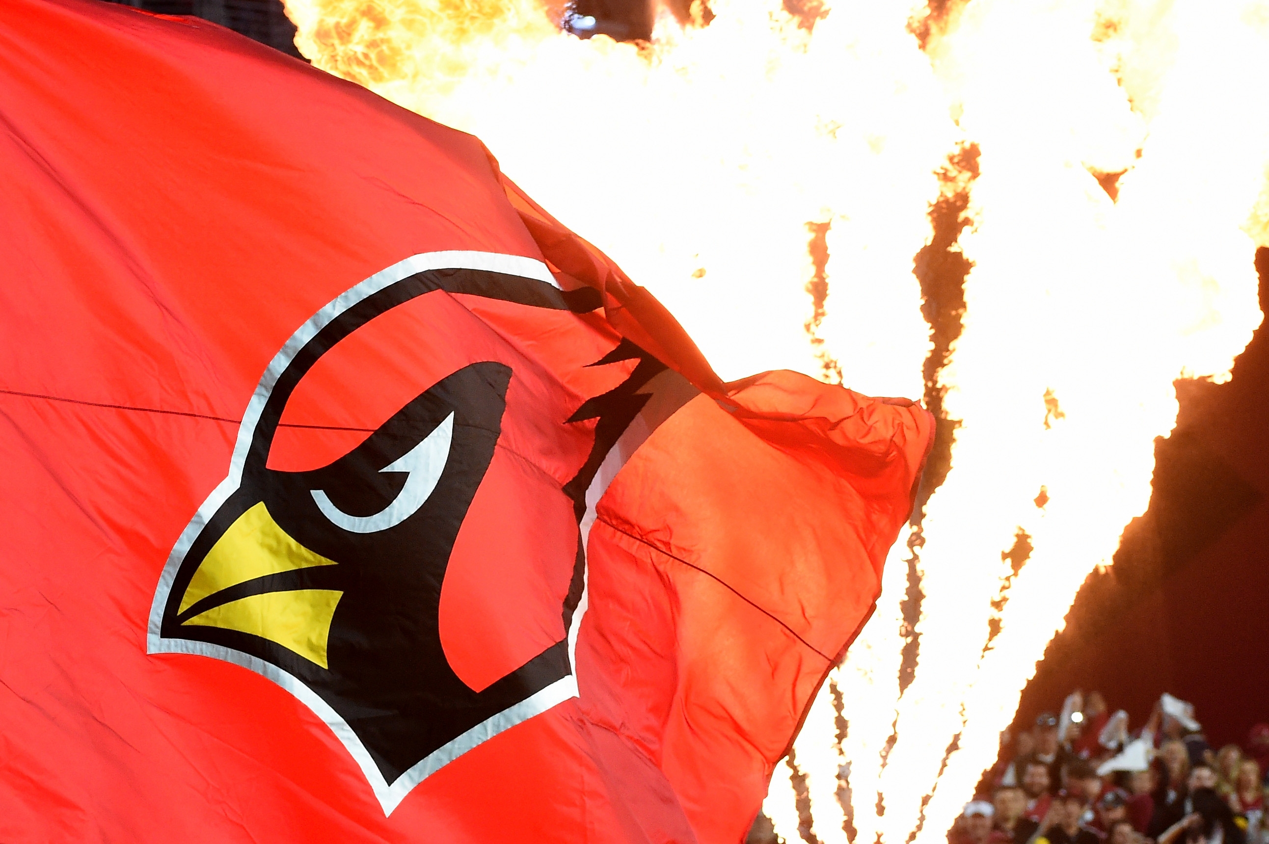 How to Buy Arizona Cardinals Chubbies Swim Trunks: Shop NFL Chubbies Collection