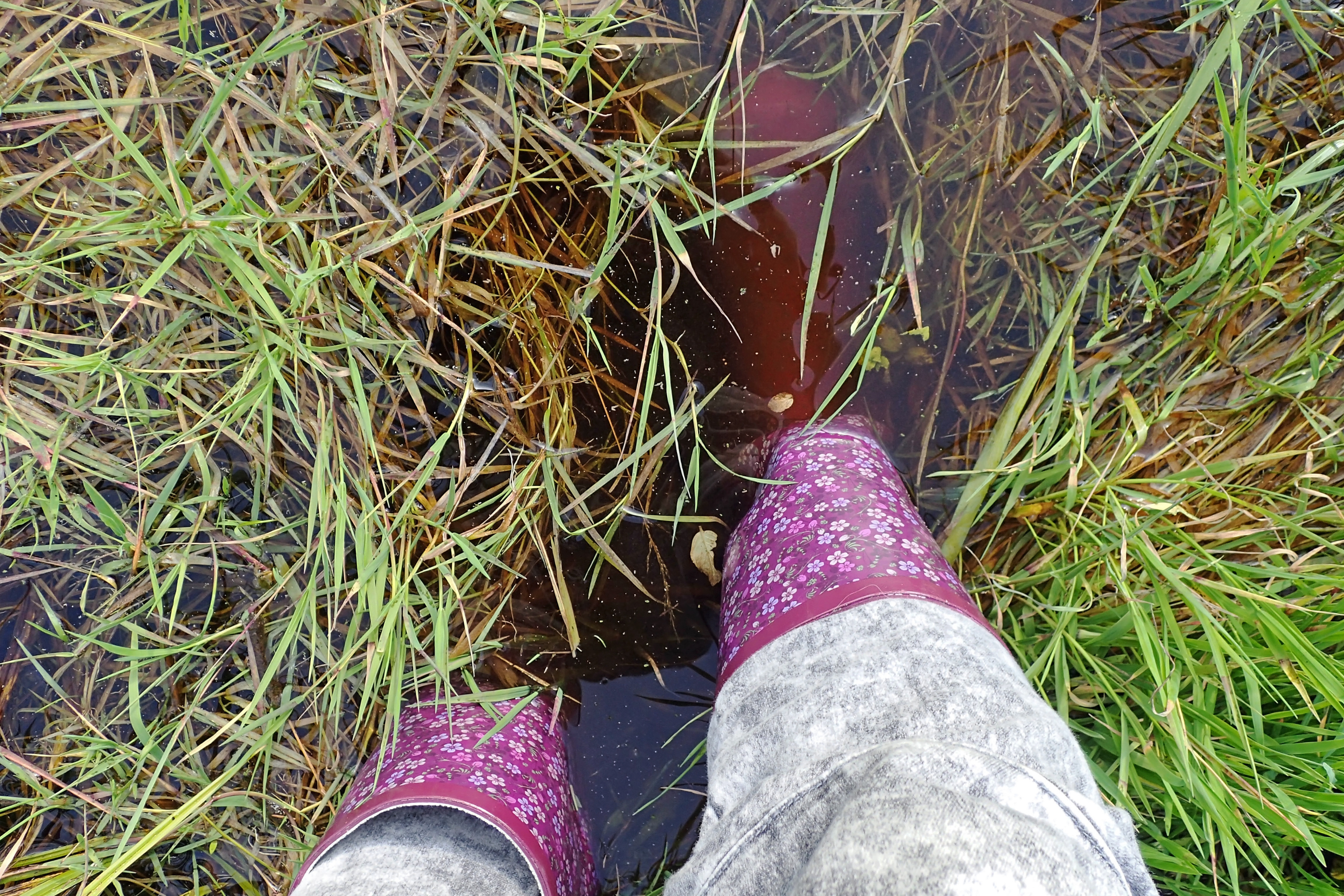 Heartbreak at What Woman Finds in Muddy Puddle: 'Poor Babies'