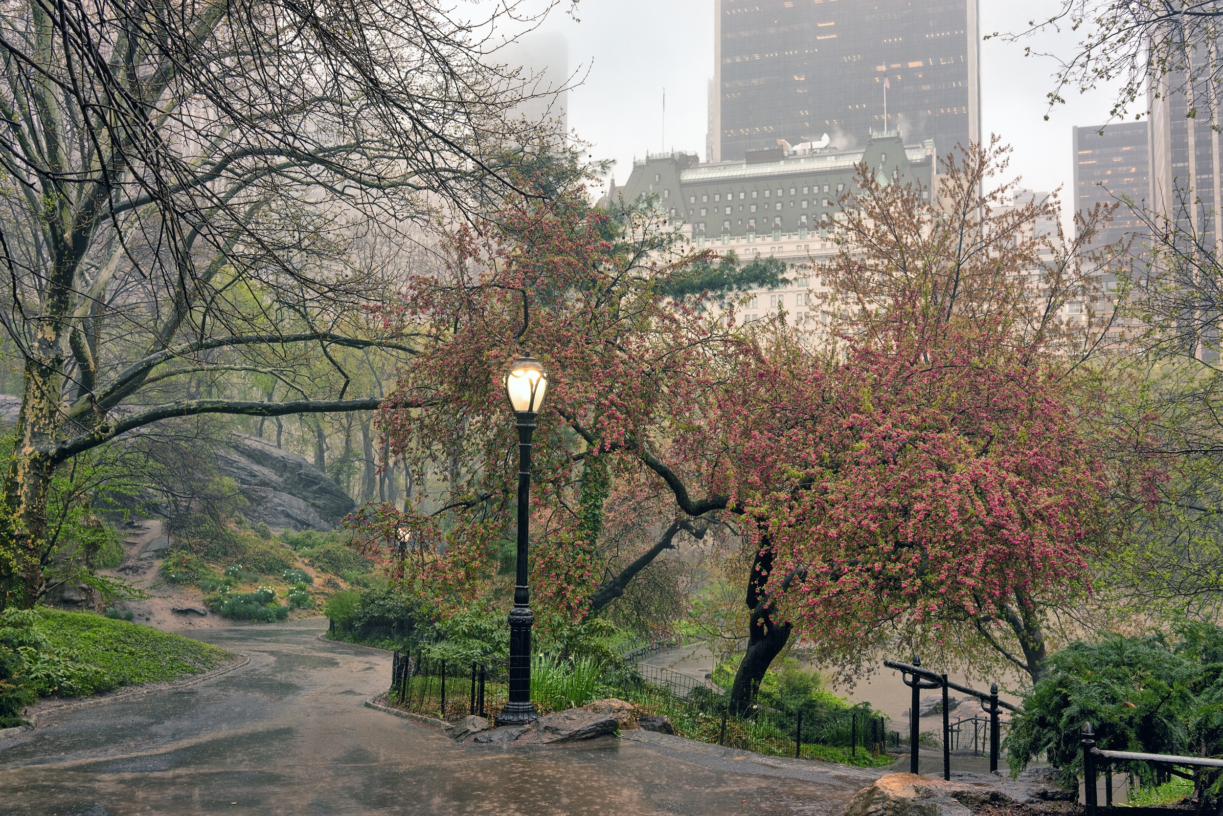 Central Park Breaks 131-Year Temperature Record