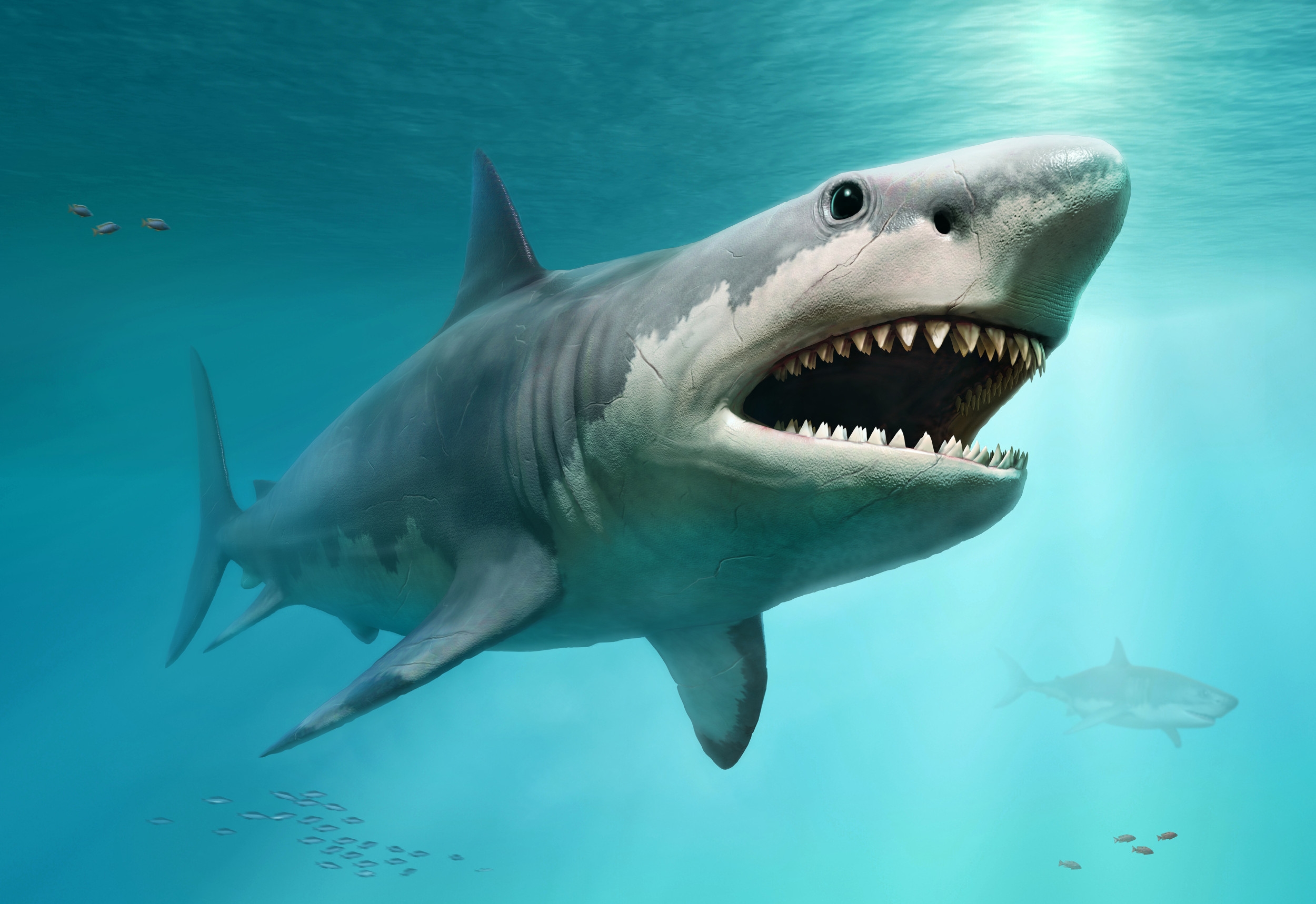 Megalodon: Largest Ever Shark's Diet Surprises Geoscientists