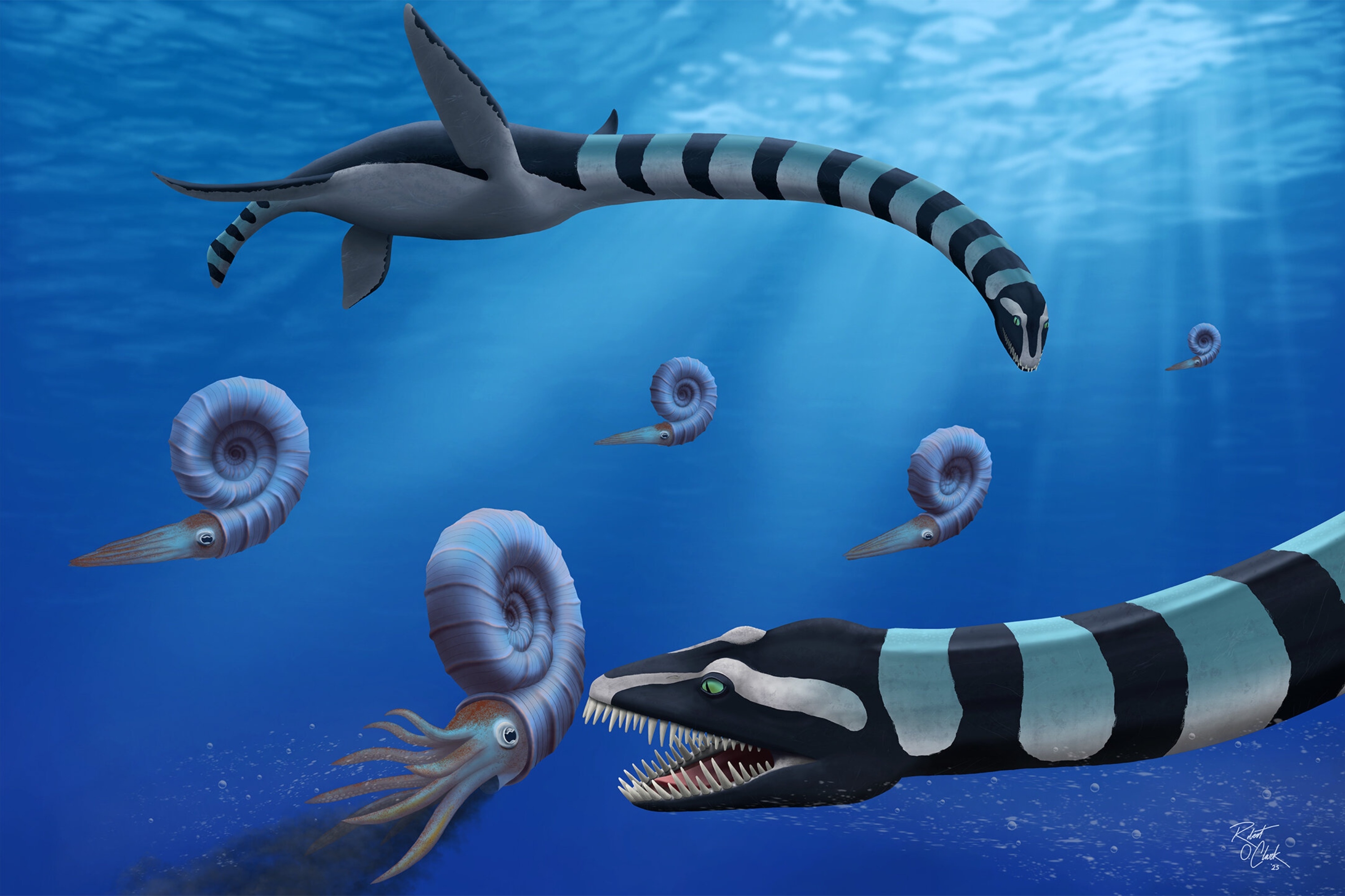Mystery of 'Very Odd' North American Sea Monster Cracked