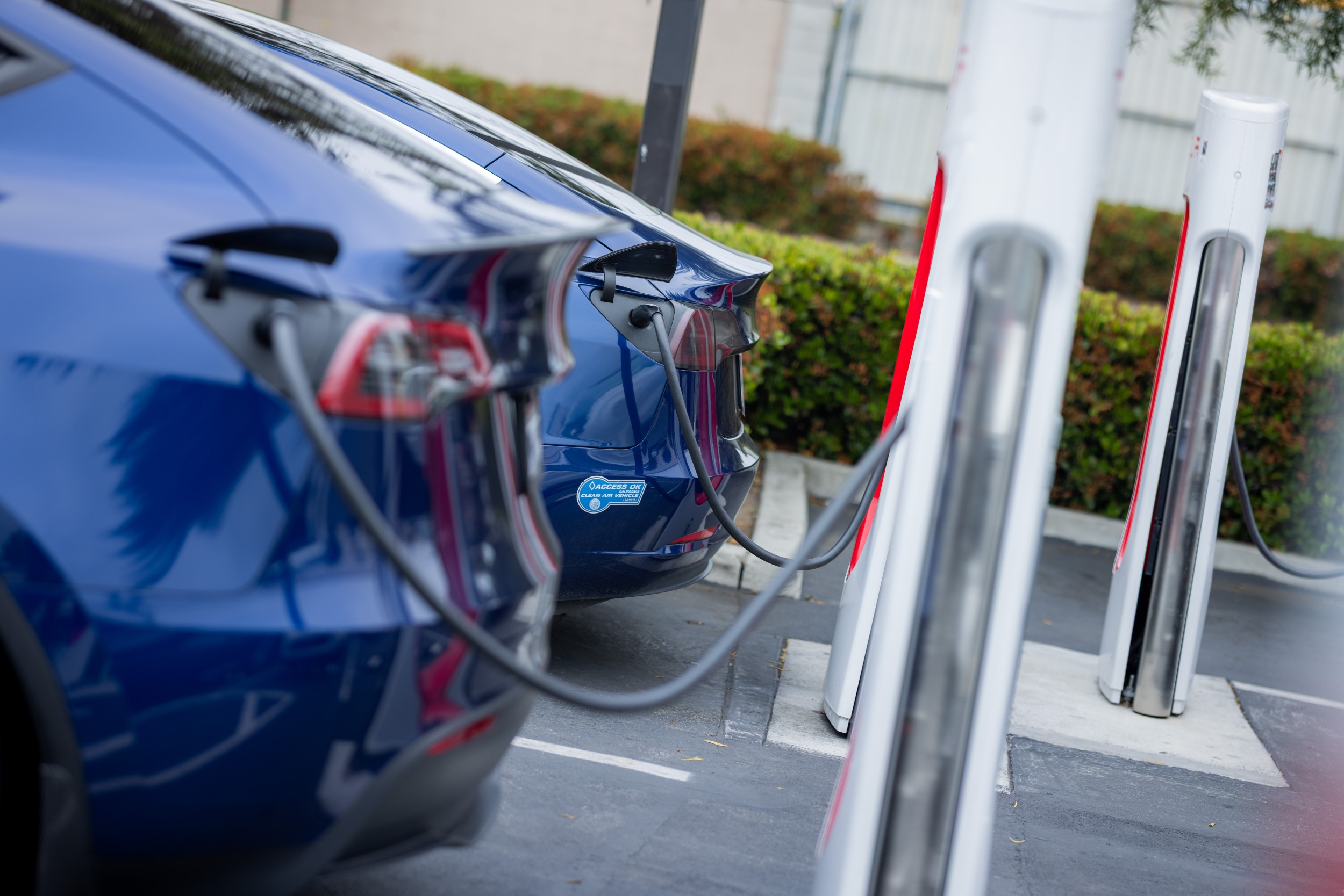 Tesla Sales Cut in Half in Europe