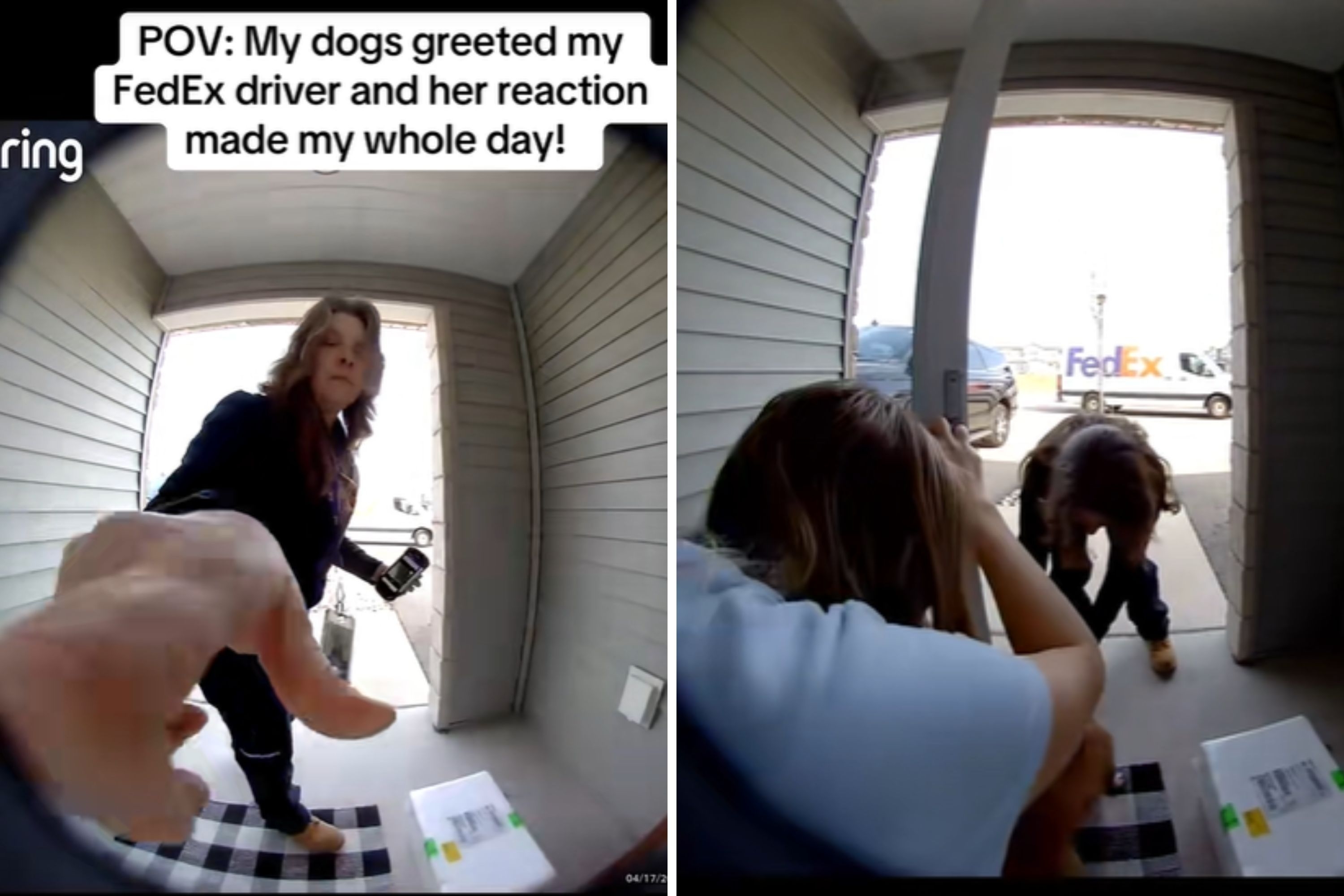 FedEx driver spots woman's dogs, doorbell cam captures what happens next