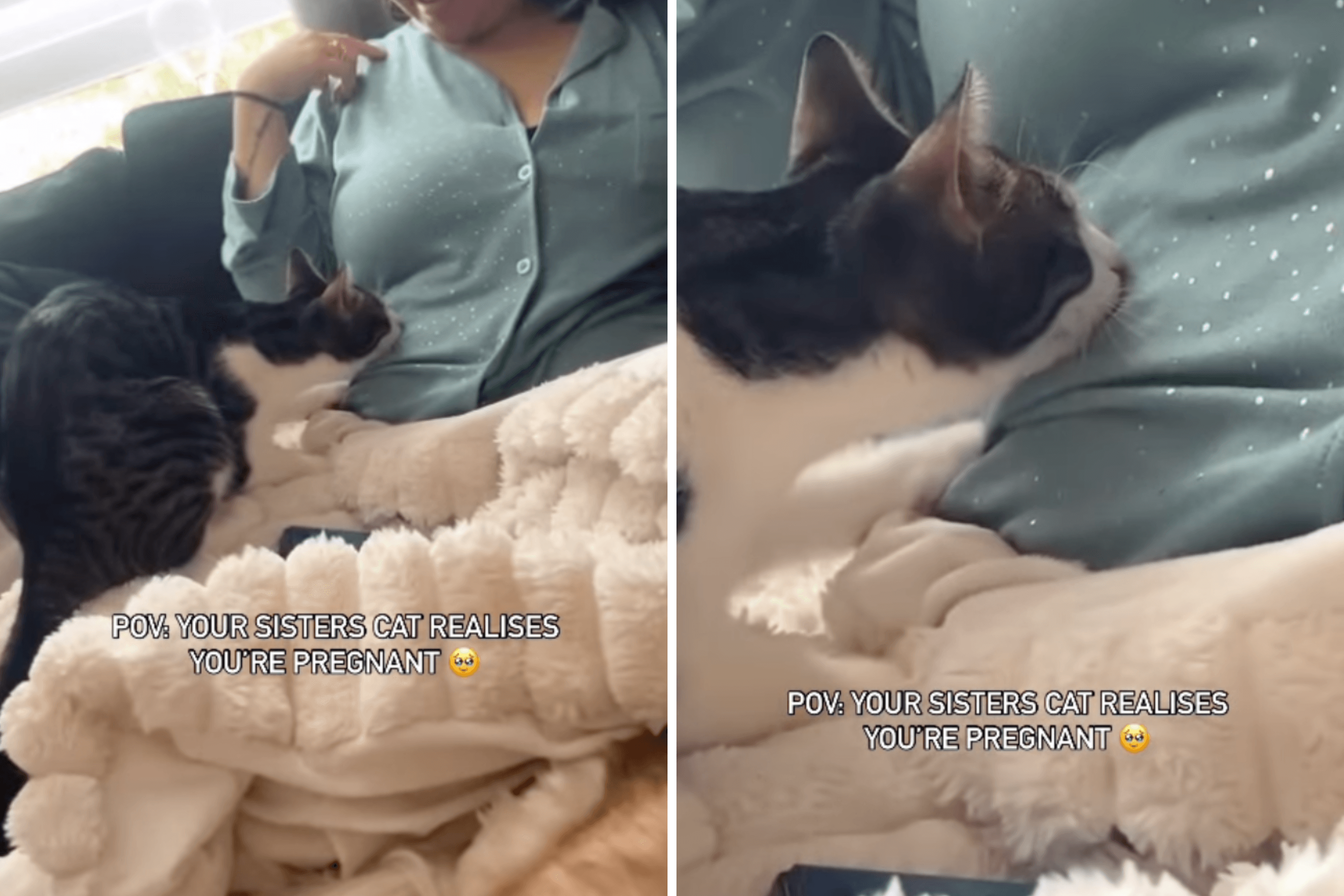 What Cat Does When She Realizes Woman Is Pregnant Melts Hearts