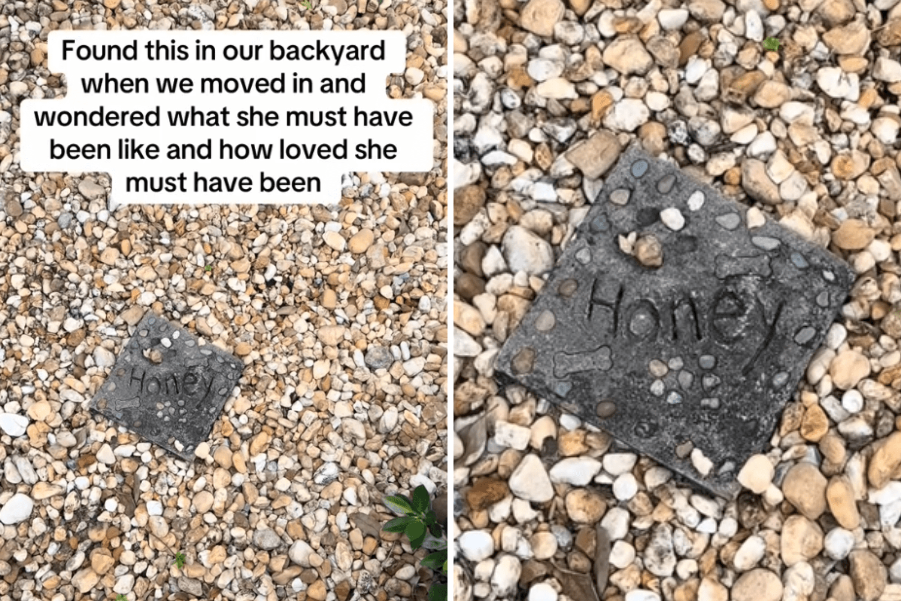 Woman Finds Grave in Backyard After Moving In, Then Photos Reveal The Truth