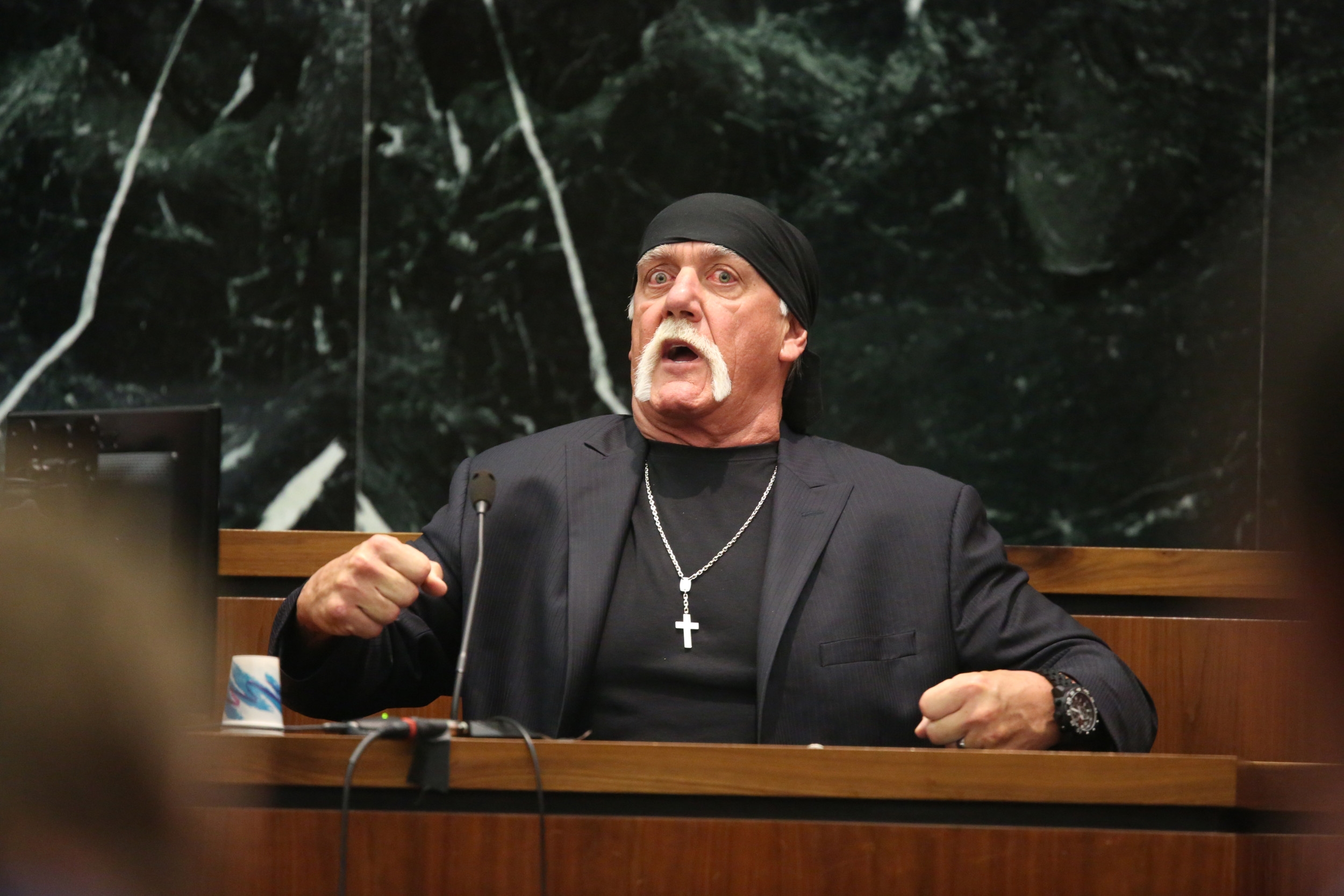 WWE Veteran Says Hulk Hogan 'Disqualified' From Pro Wrestling Mount Rushmore