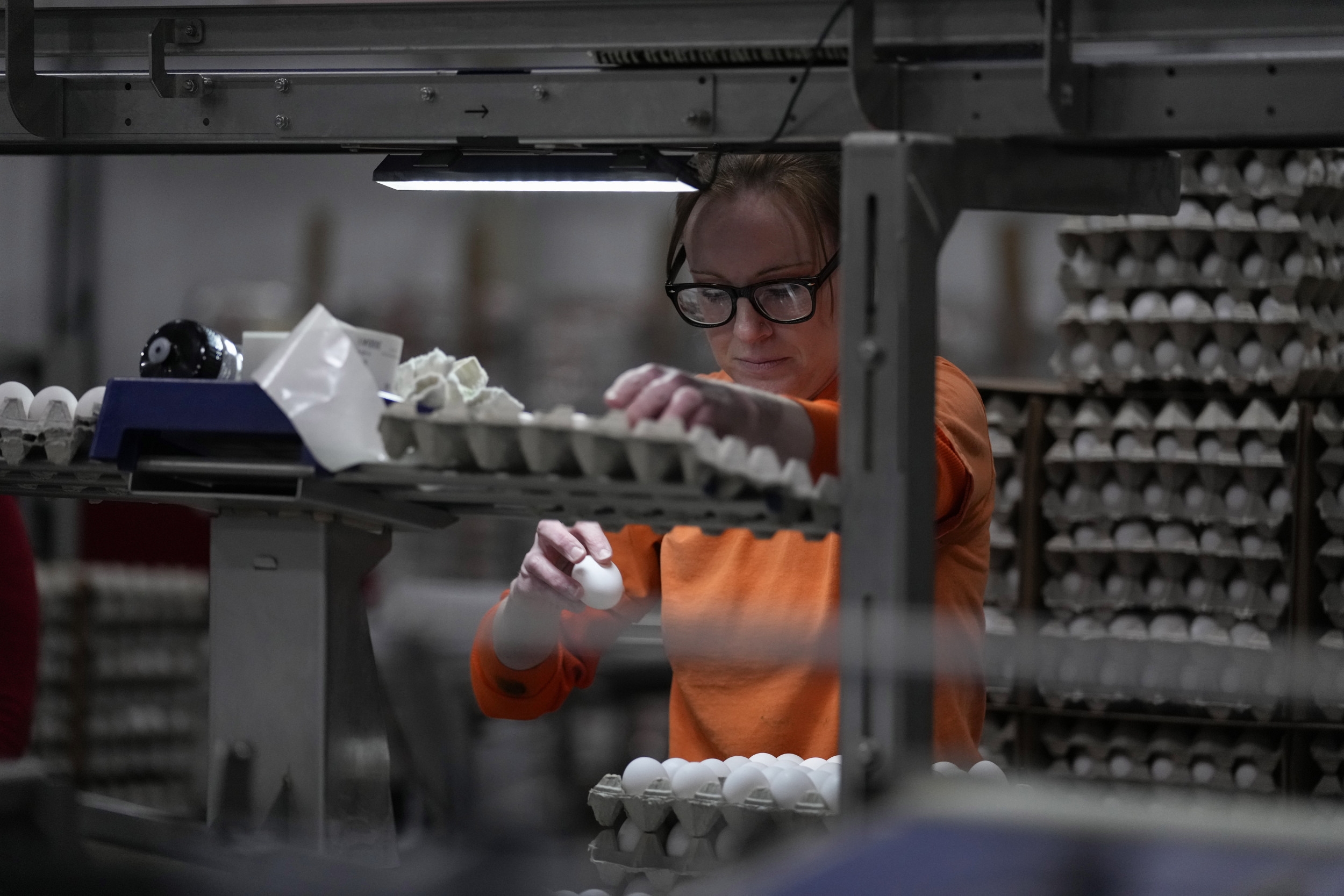 Largest Egg Producer in Southwest Shutdown: What to Know