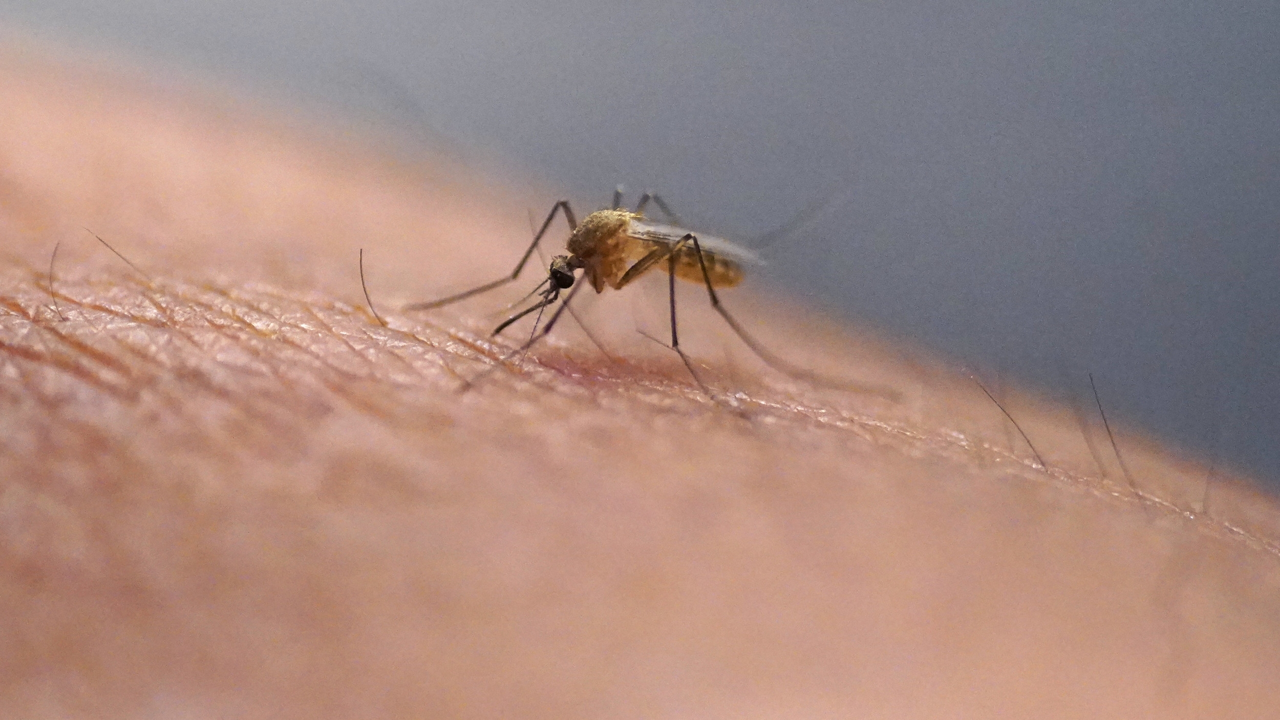 Health Officials Confirm Virus in Popular Vacation Destination
