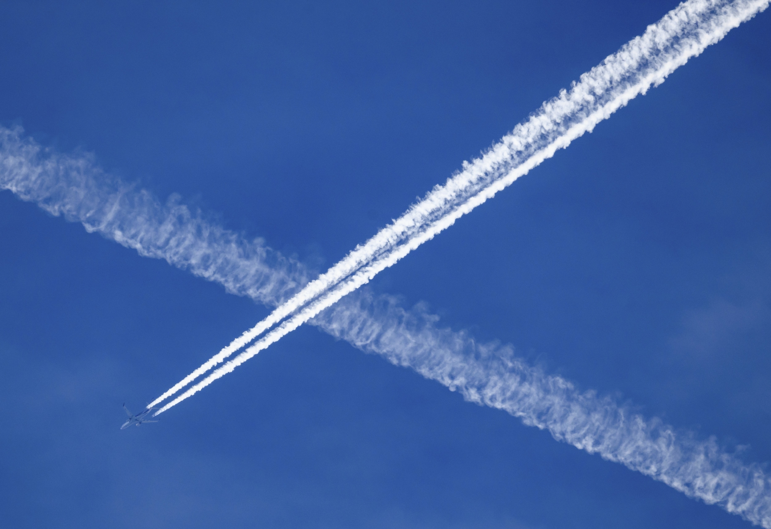 Louisiana Passes Bill to Ban 'Chemtrails'