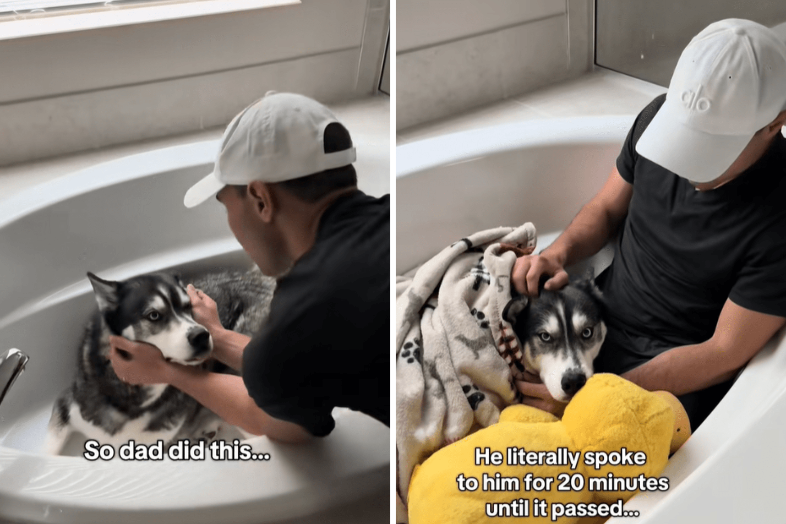 Owners Can't Find Husky Post-Thunderstorm—Then Make Heartbreaking Discovery