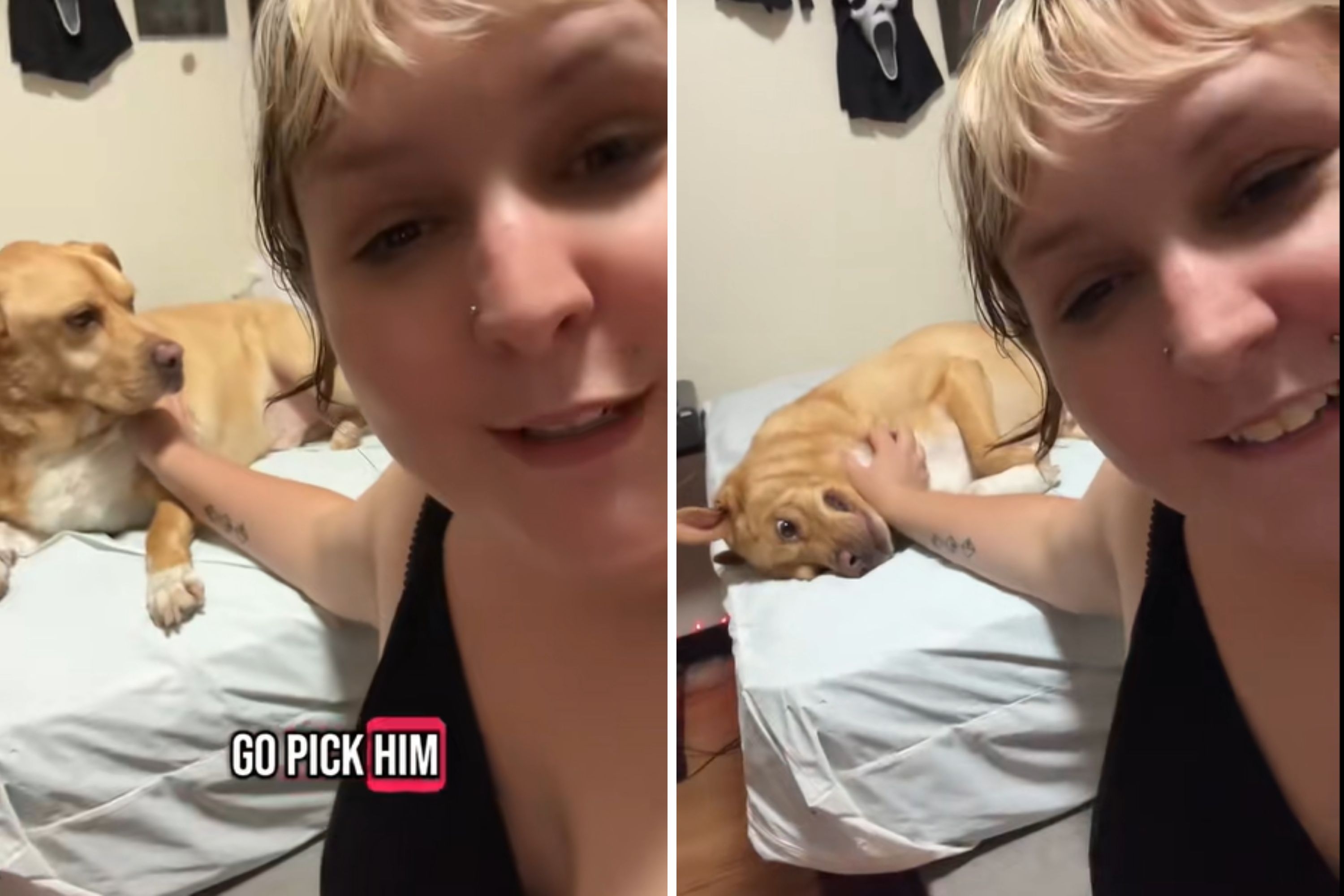 Woman Picks Up Dog From Daycare, Then Learns Where They Put Him All Day