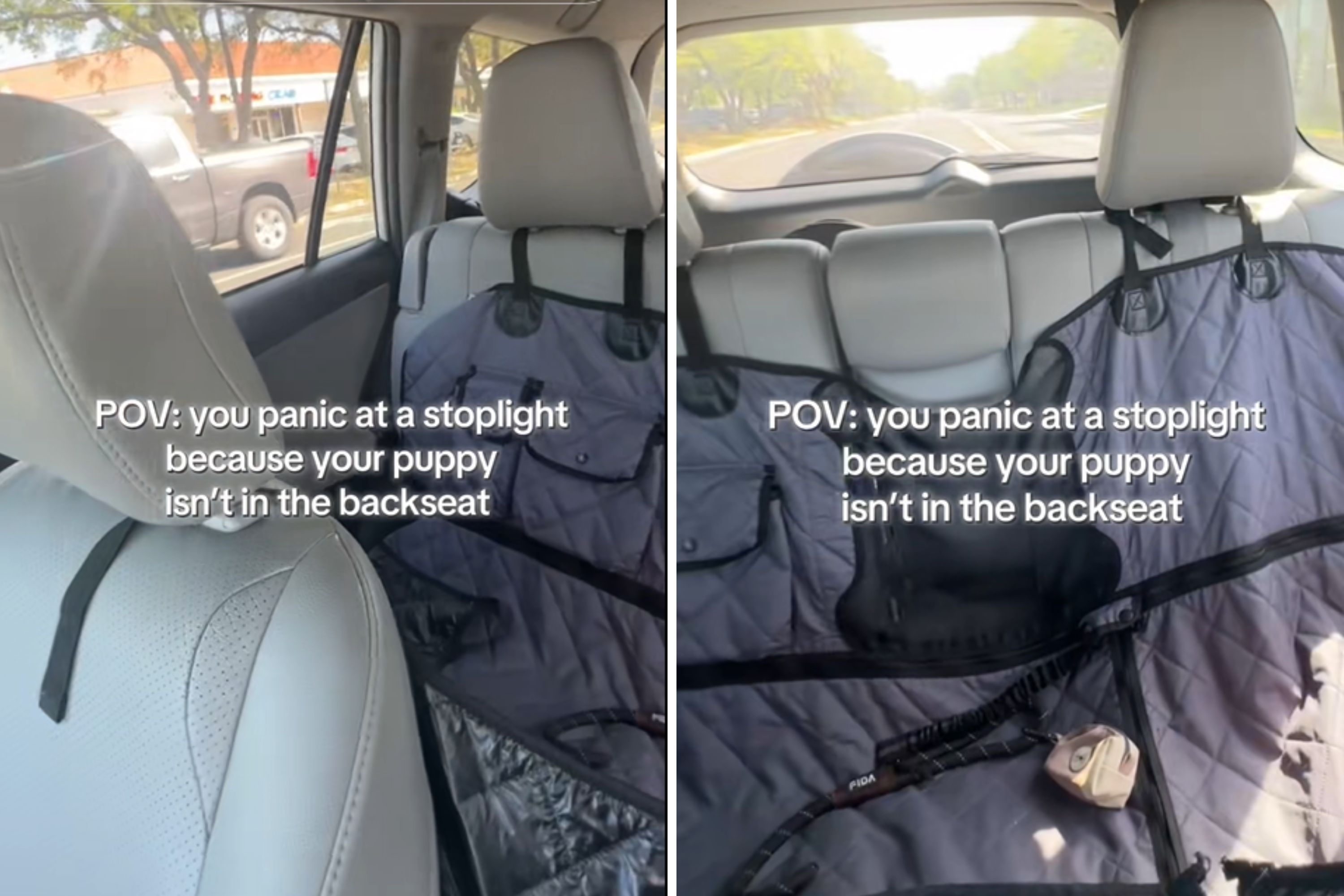 Moment Woman Panics at Red Light When She Can't Find Pup in Backseat