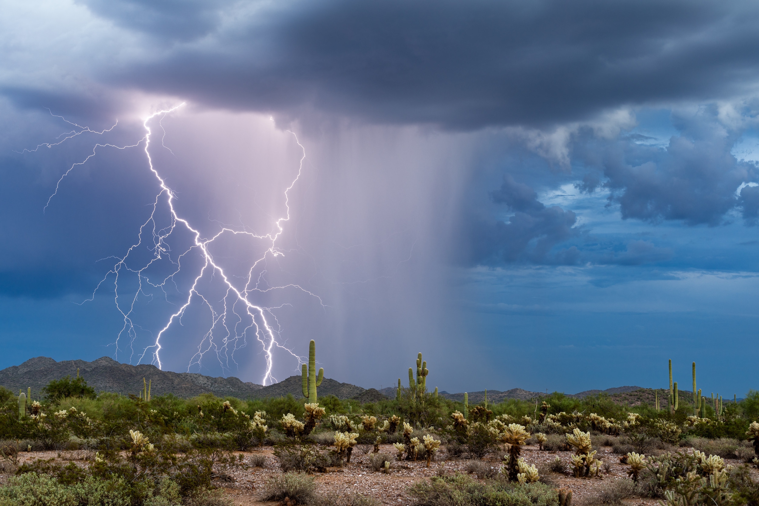 Map Shows Where 3 States Warned About Floods in the Desert
