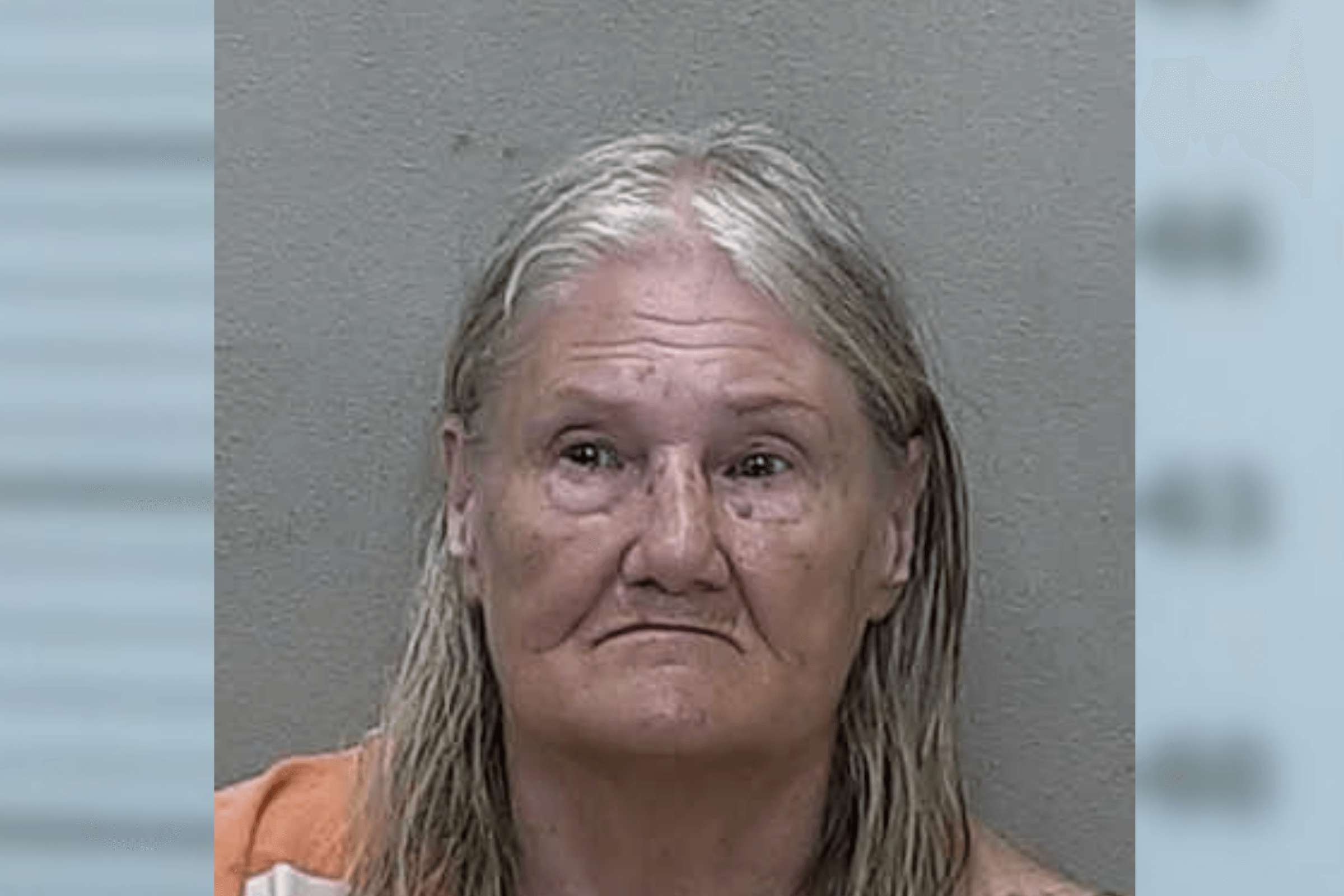 Florida Woman Uses Bear Mace on 3-Year-Old Over Blowing Bubbles: Police