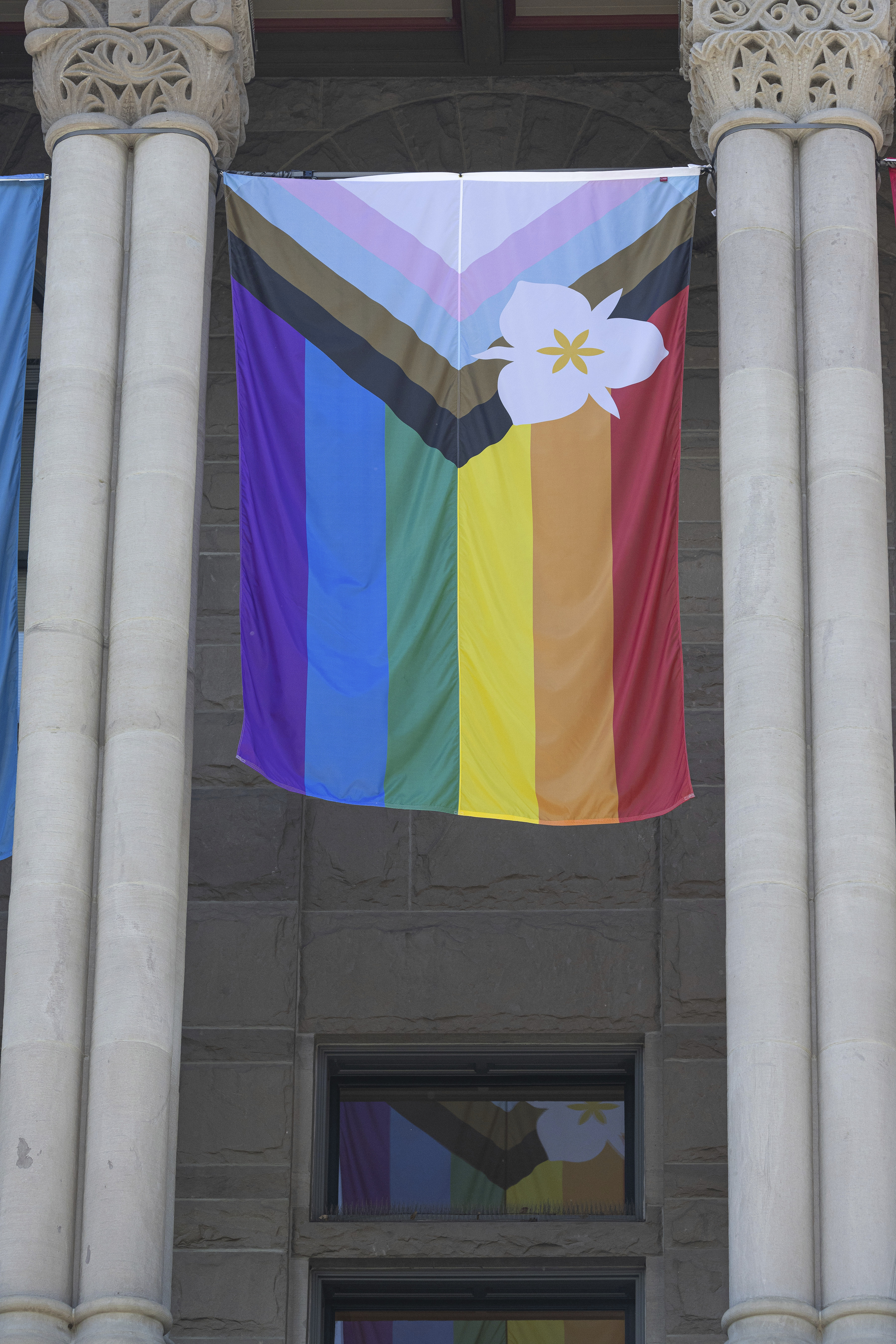 Pride Flags Displayed Across Red States in Defiance of Bans