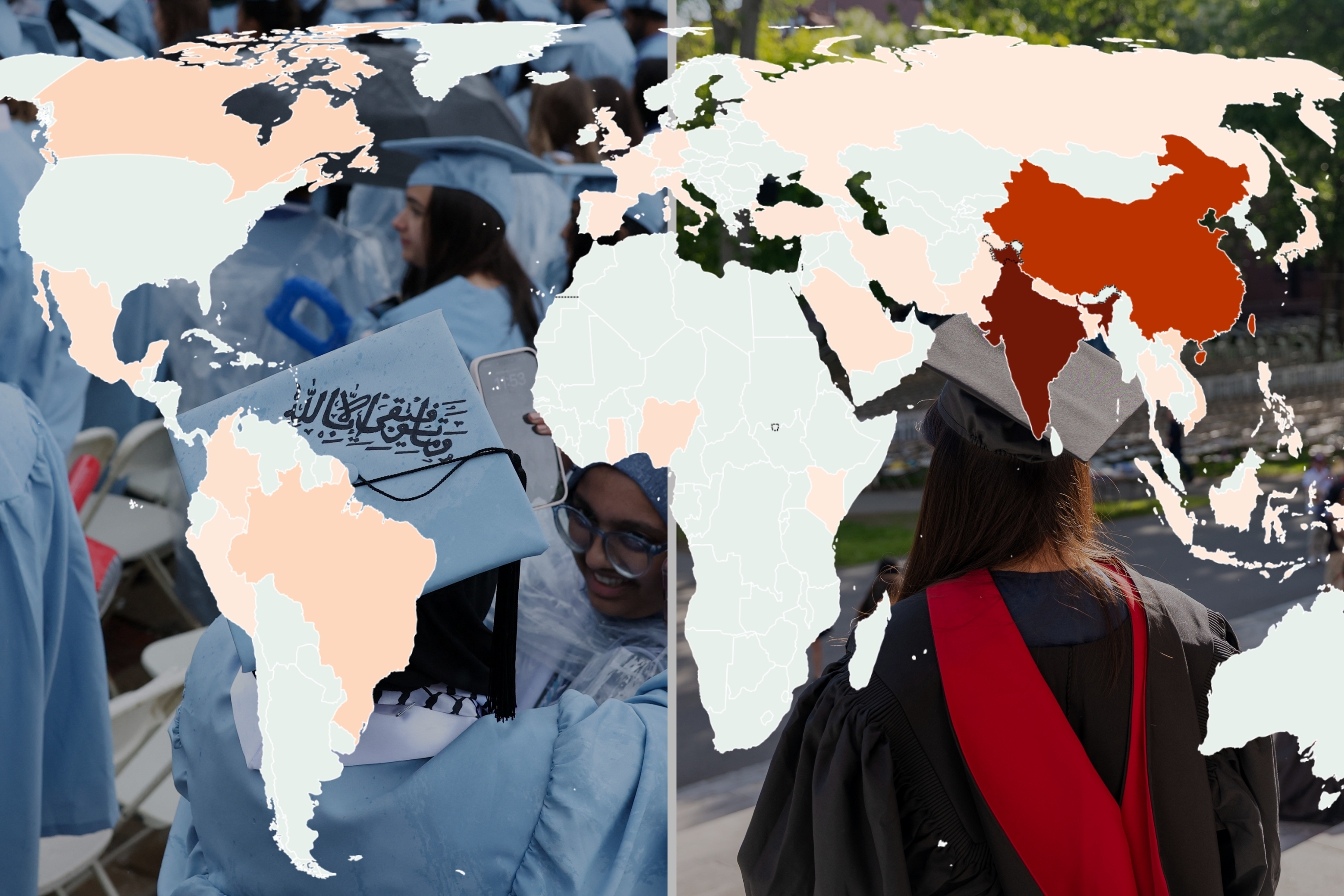 Where Student Visa Holders Come From, What They Study and Where They Work