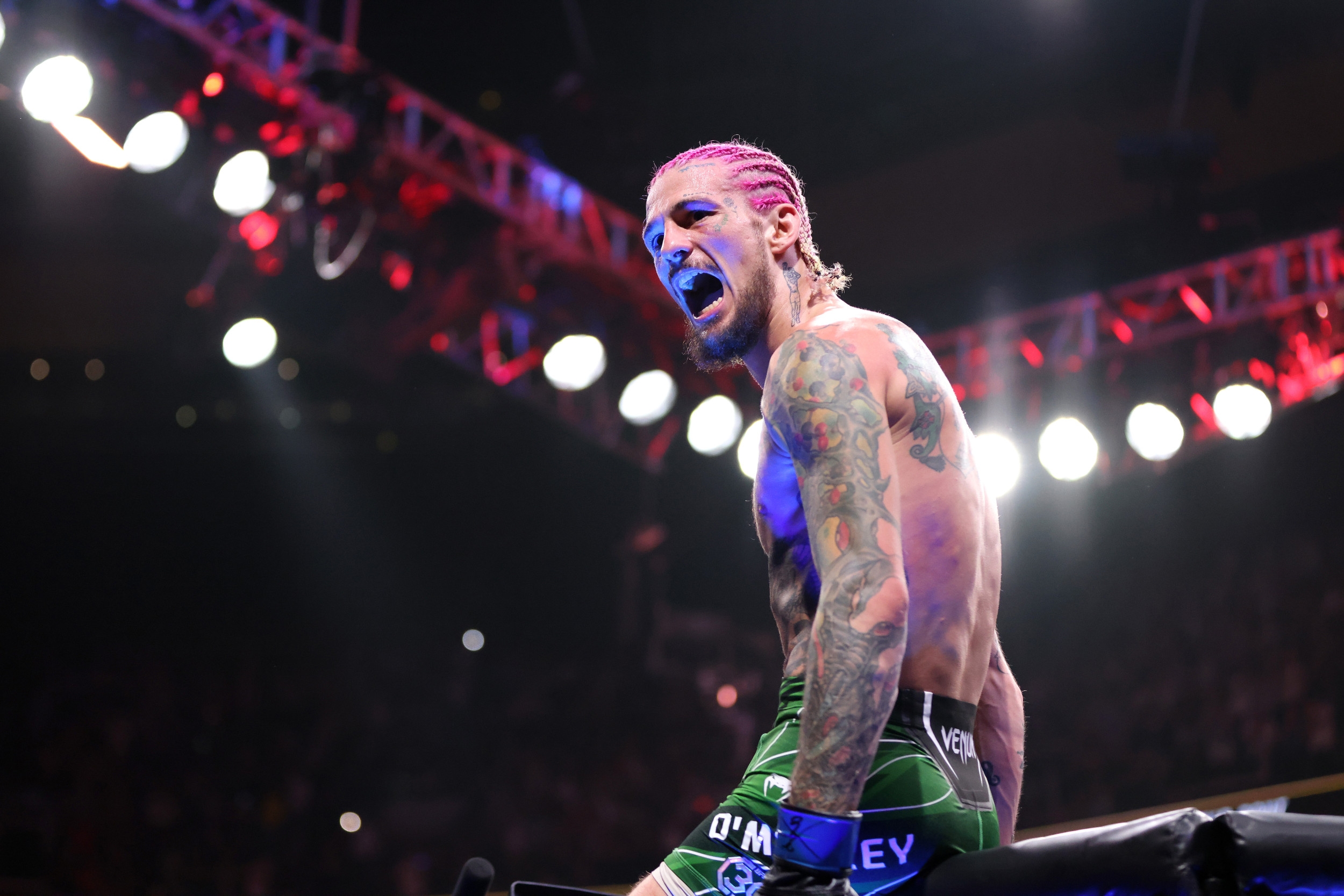 How to Watch Dvalishvili vs O'Malley 2: Live Stream UFC 316, TV Channel
