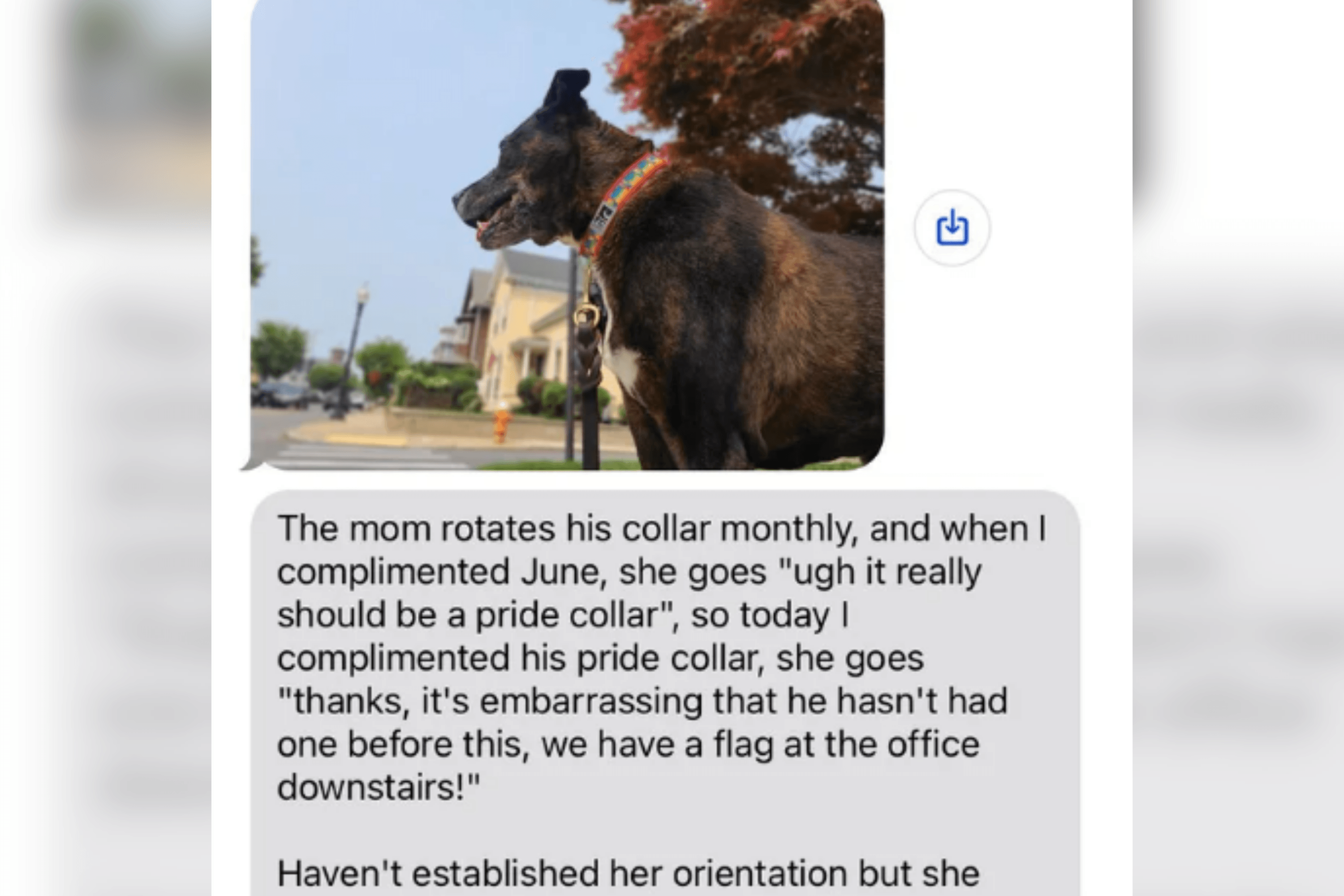 Woman Gets Message From Dog Walker—Realizes It Wasn't Meant for Her