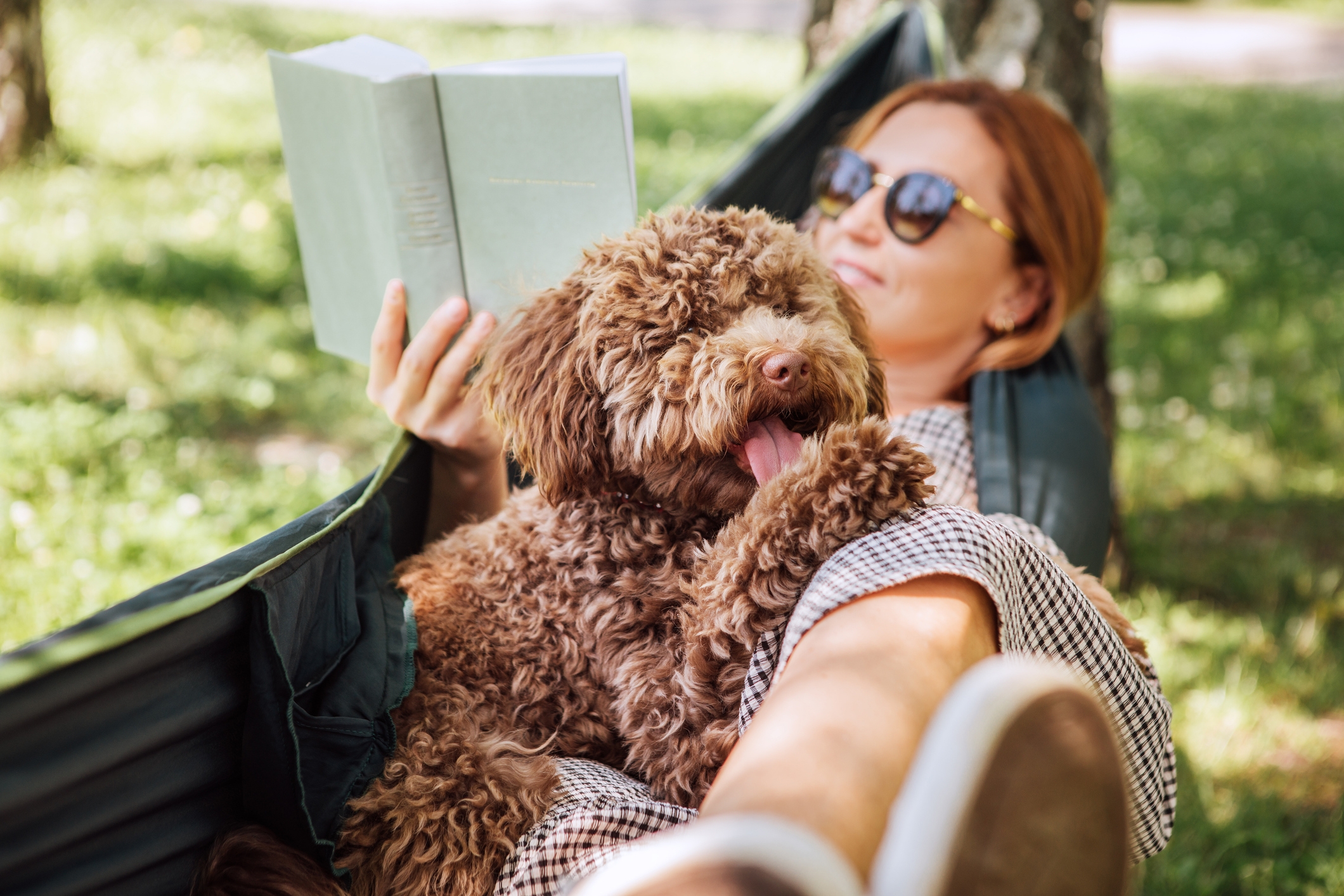 Owner Takes Dog on Vacation, Then Makes Heartwarming Realization