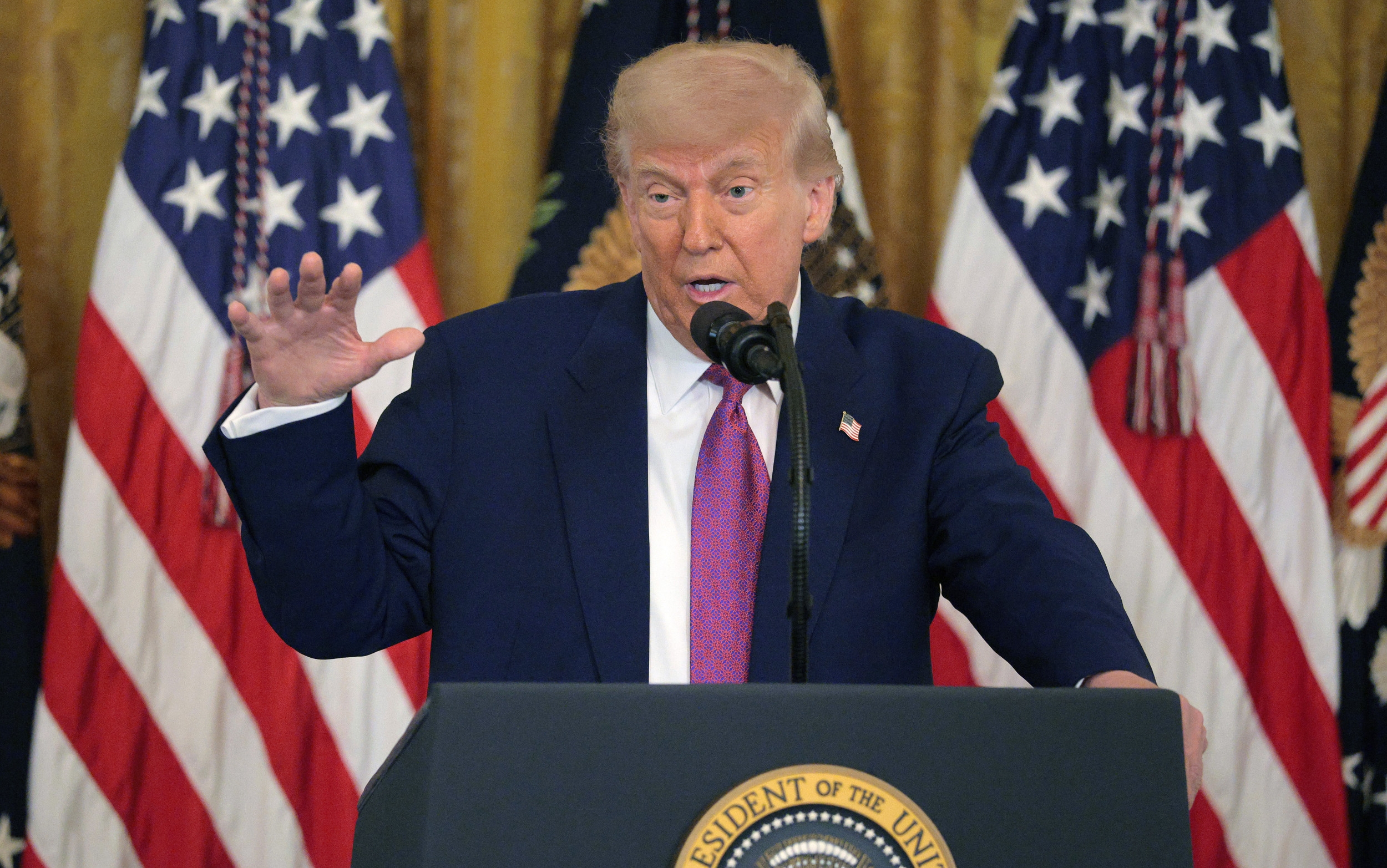 Donald Trump Responds to 'No King' Protests—'We're Not a King'