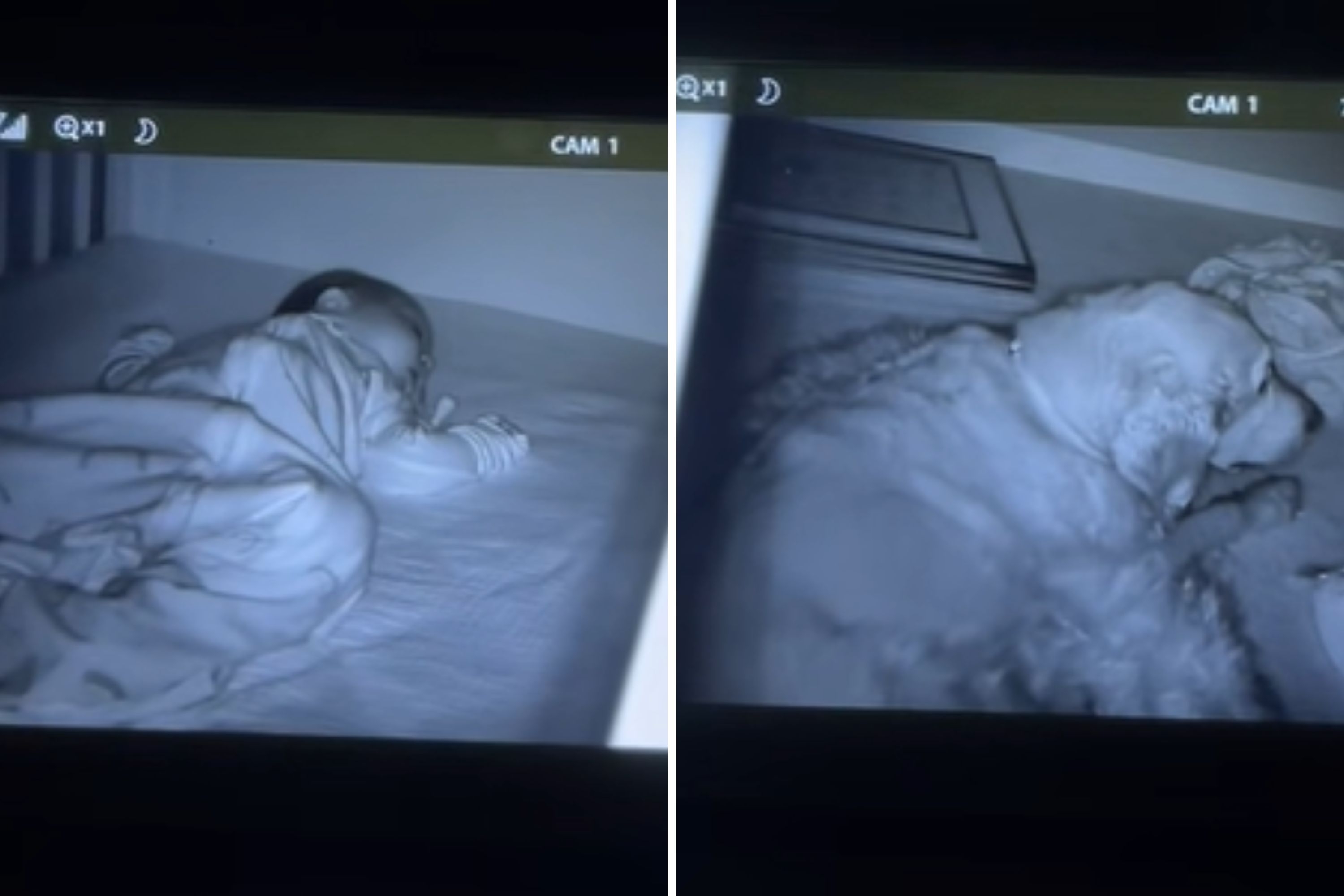 Mom Can't Find Dog During Baby's First Night in Crib—Then She Checks Camera