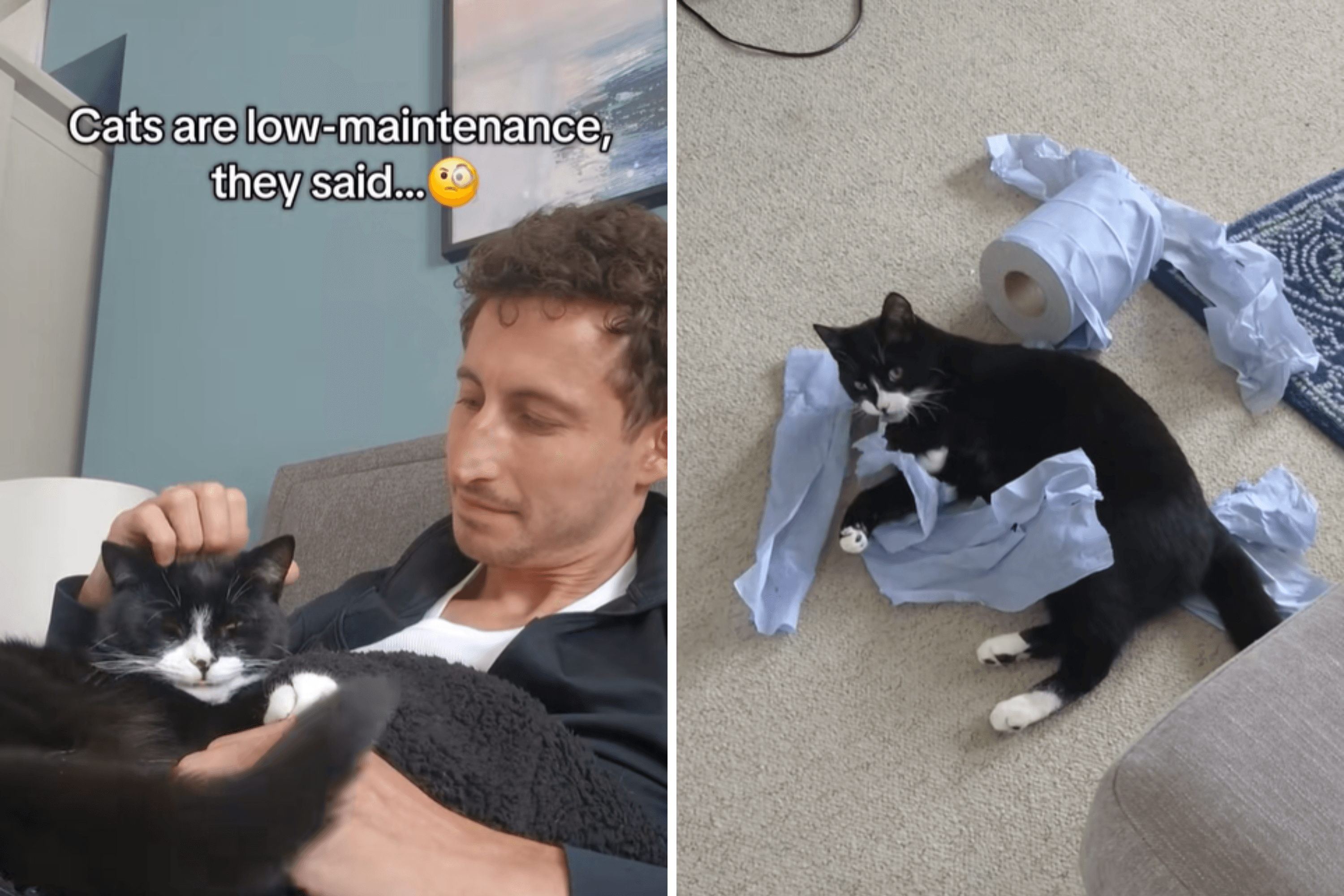 Man Thought Cats Were Low-Maintenance, Then He Got One