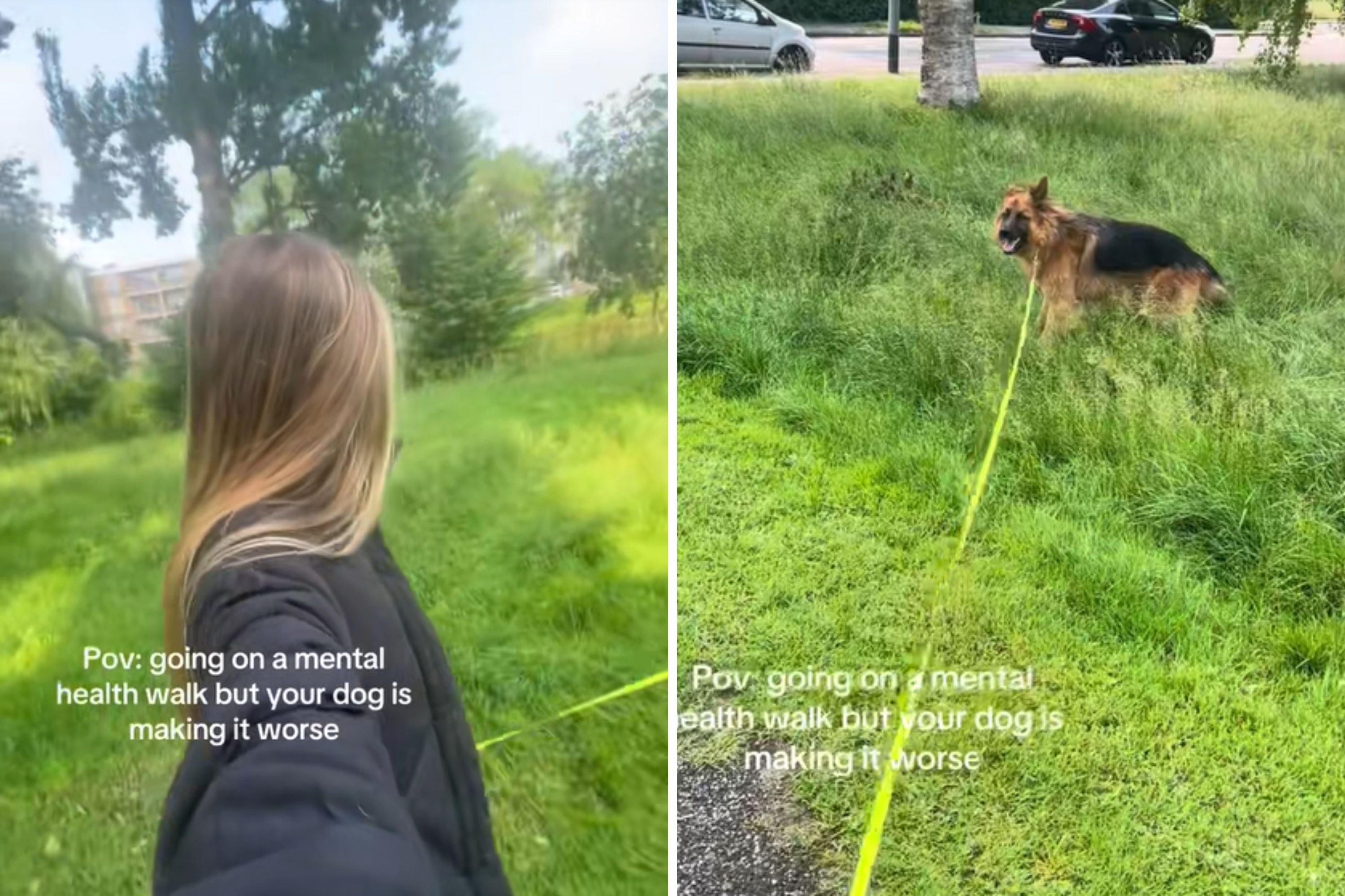 Woman Sets Out on 'Mental Health Walk,' But Dog Had Other Plans