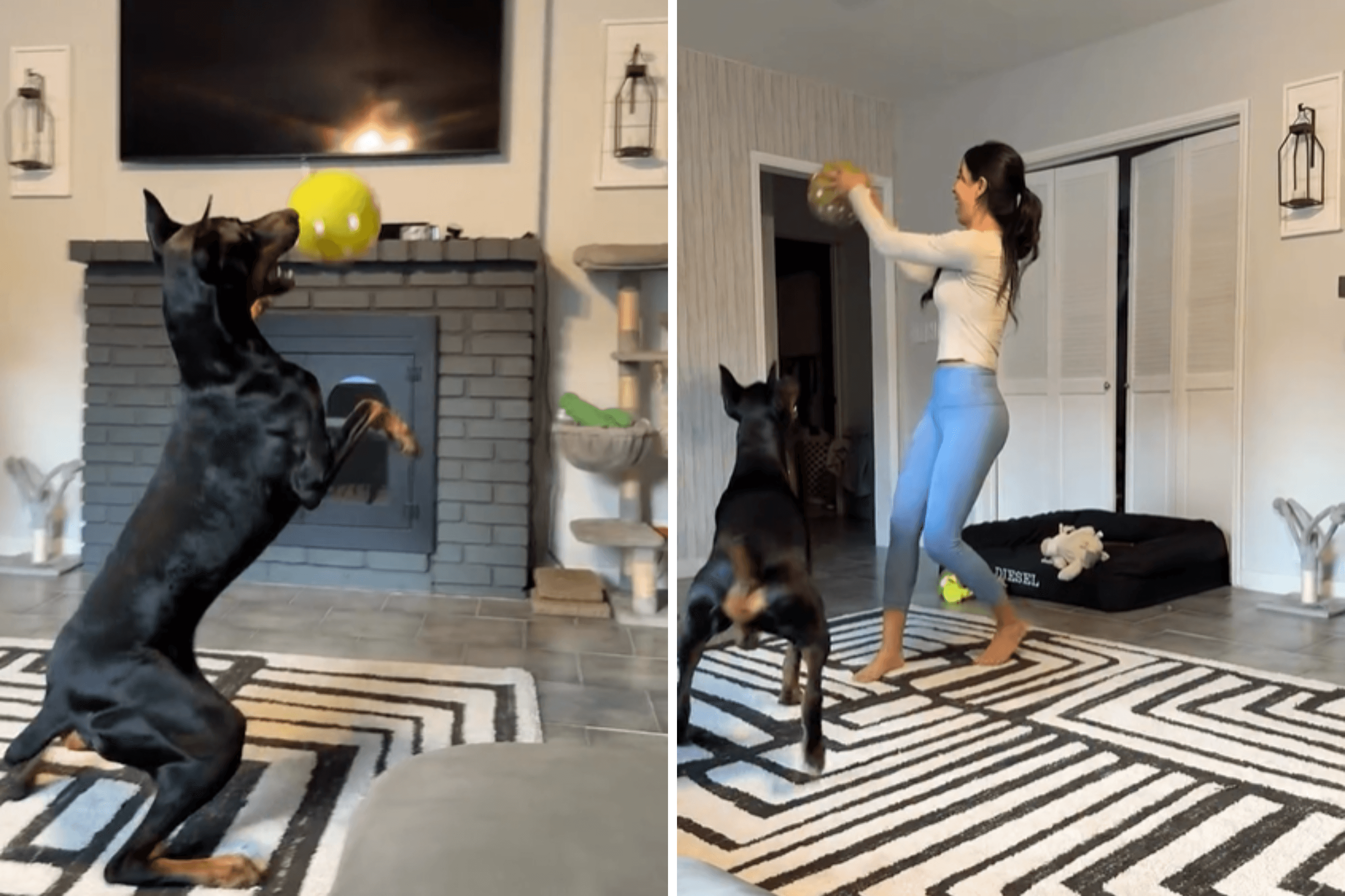 Mom and Daughter Play With Balloon—Then Their 82lb Doberman Gets Involved