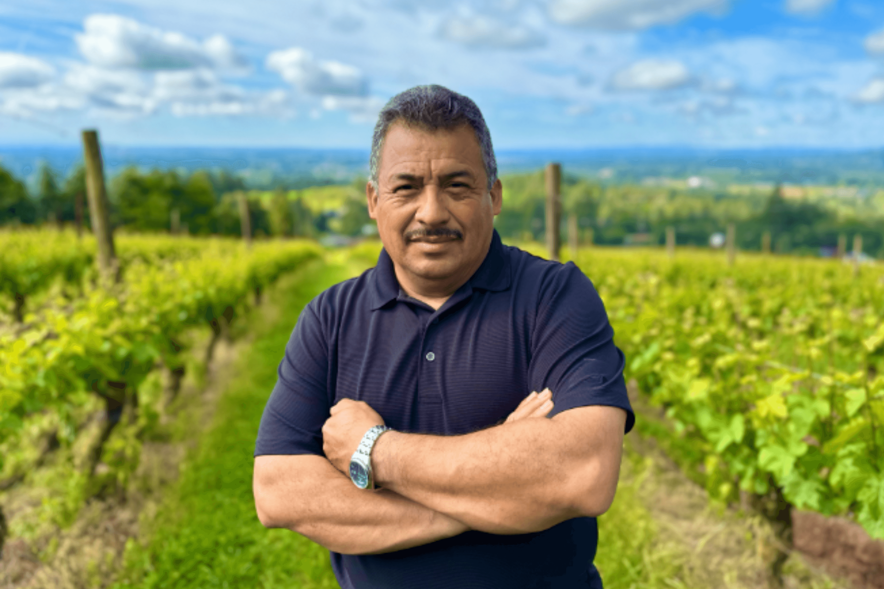 Winemaker In U.S. For Decades Detained By ICE: 'Disappointed and Disgusted'
