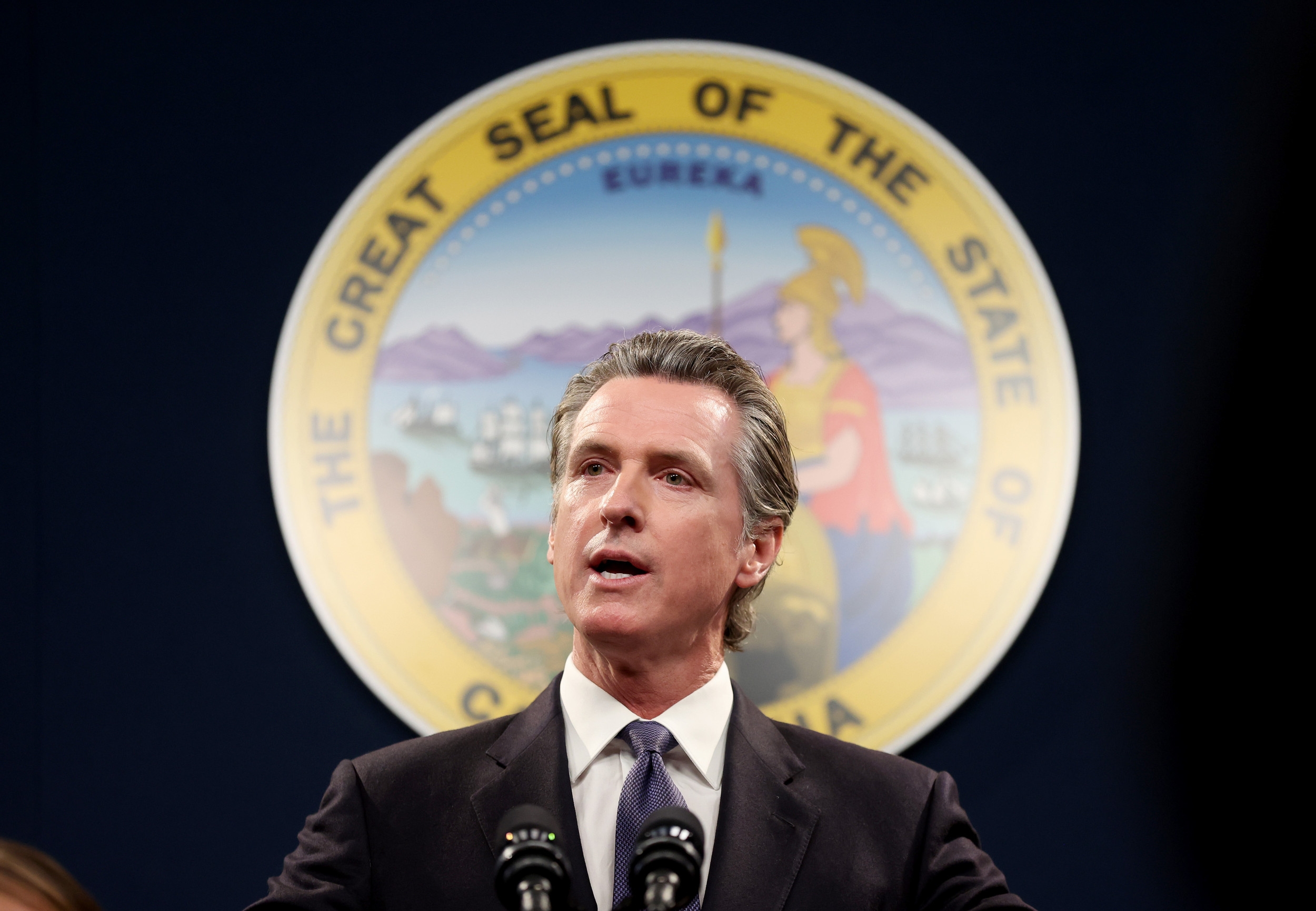 California Laws Changing July 1: From Pet Insurance to Airbnb Cleaning Fees