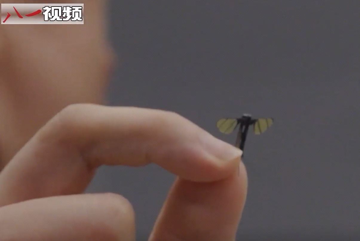 China Military Unveils Mosquito-Sized Drones for 'Special Missions'
