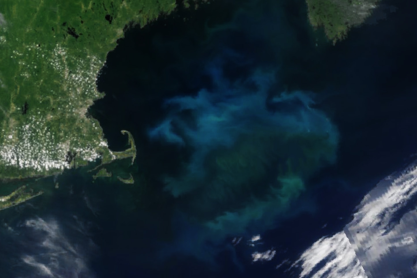 Satellite Image Reveals Unexpected East Coast Phenomena: 'Impressive'